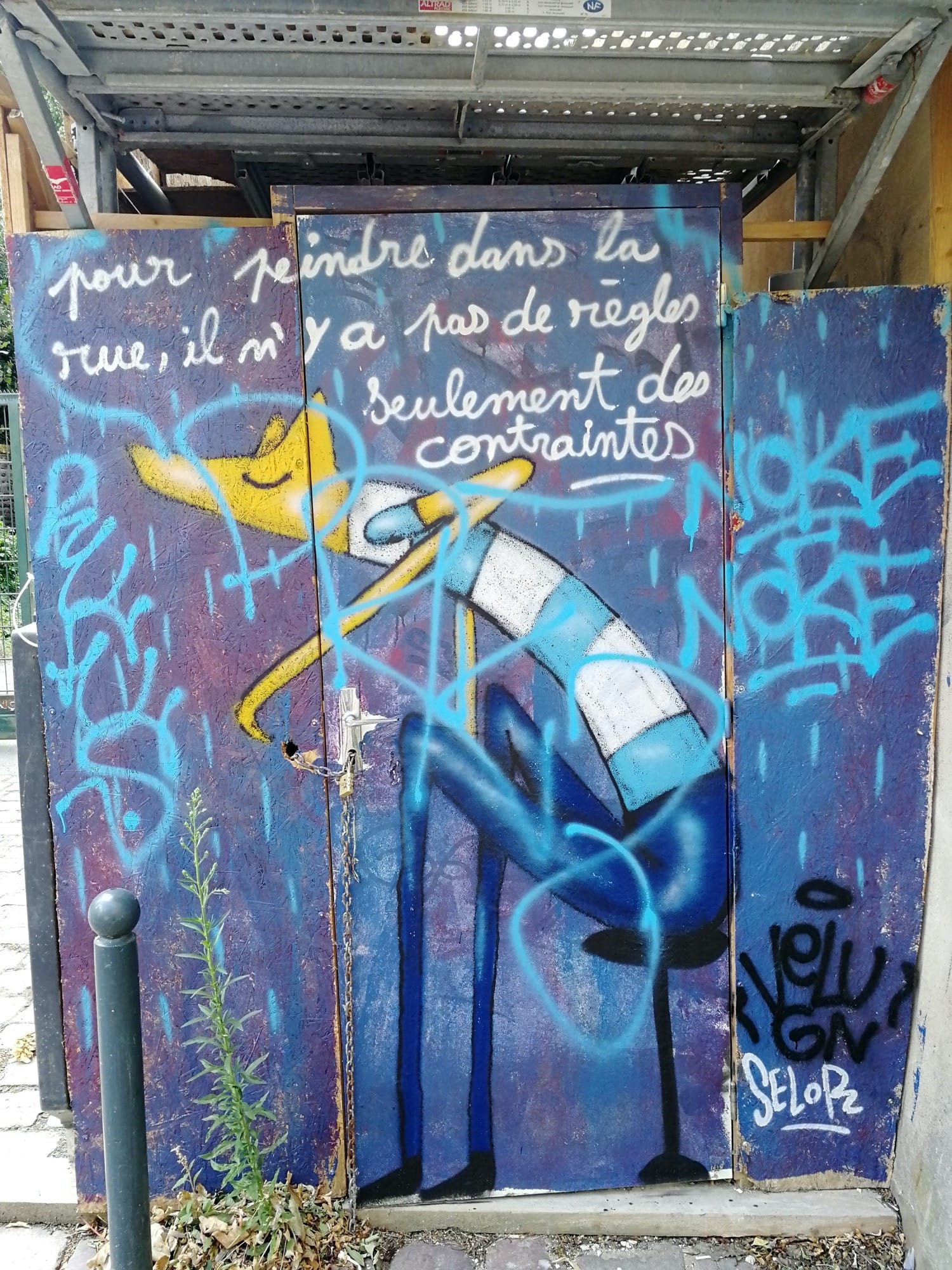 Graffiti 3030  de Selor capturé par Rabot à Rennes France