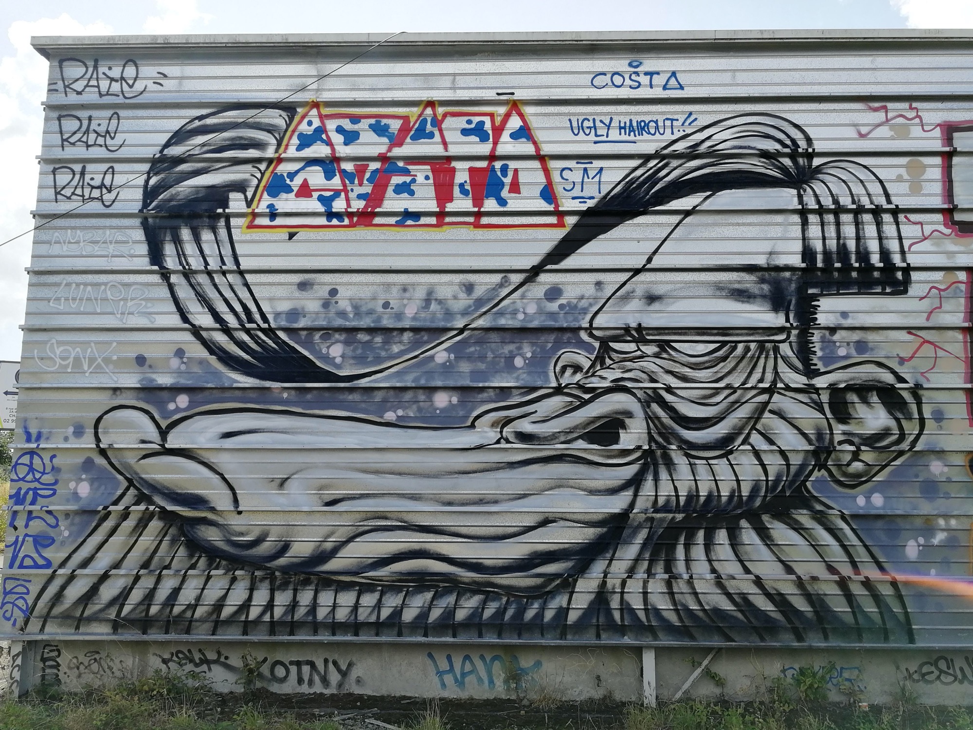 Graffiti 3042  de Lélé capturé par Rabot à Chantepie France