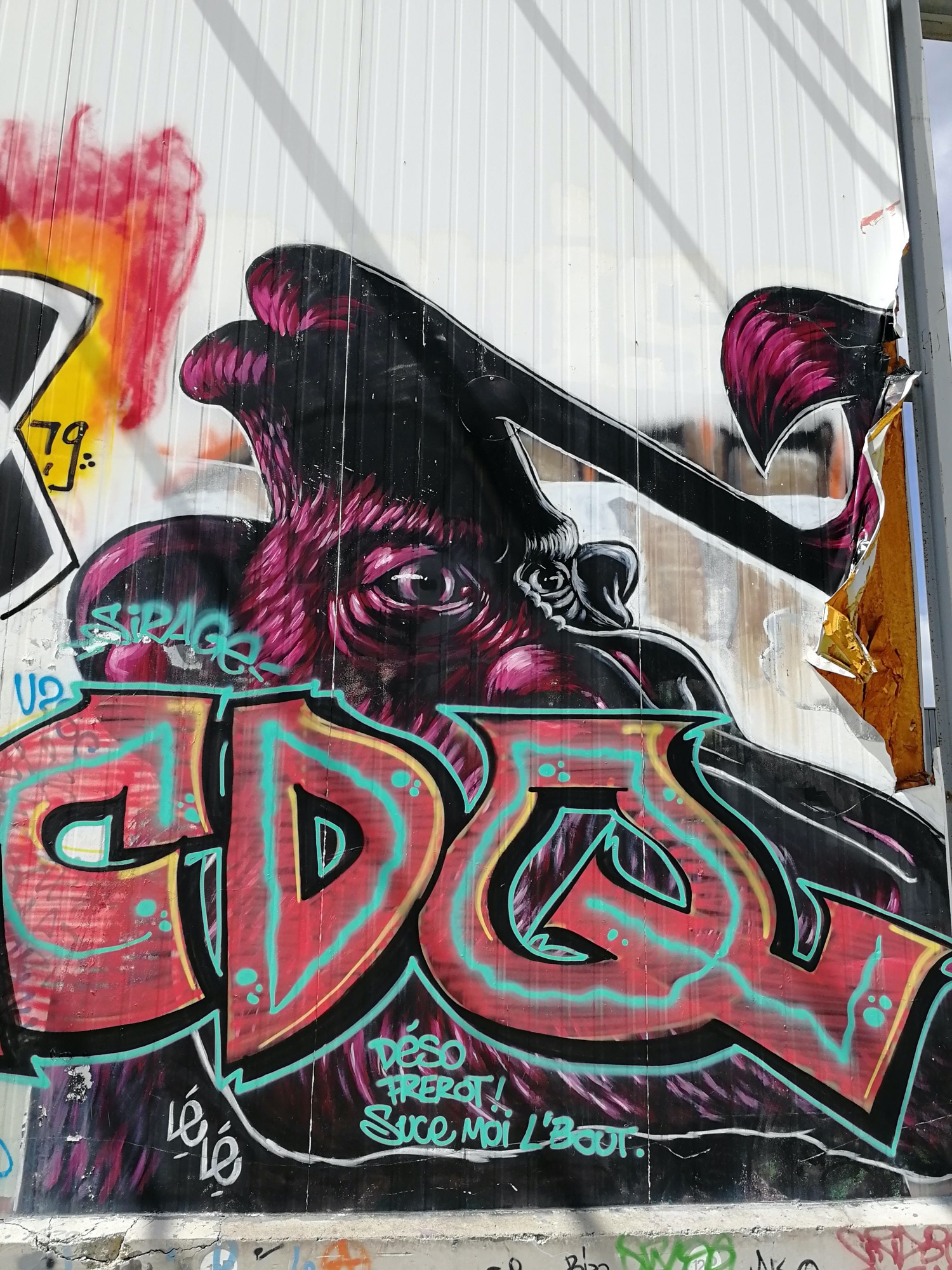 Graffiti 3066  de Lélé capturé par Rabot à Chantepie France