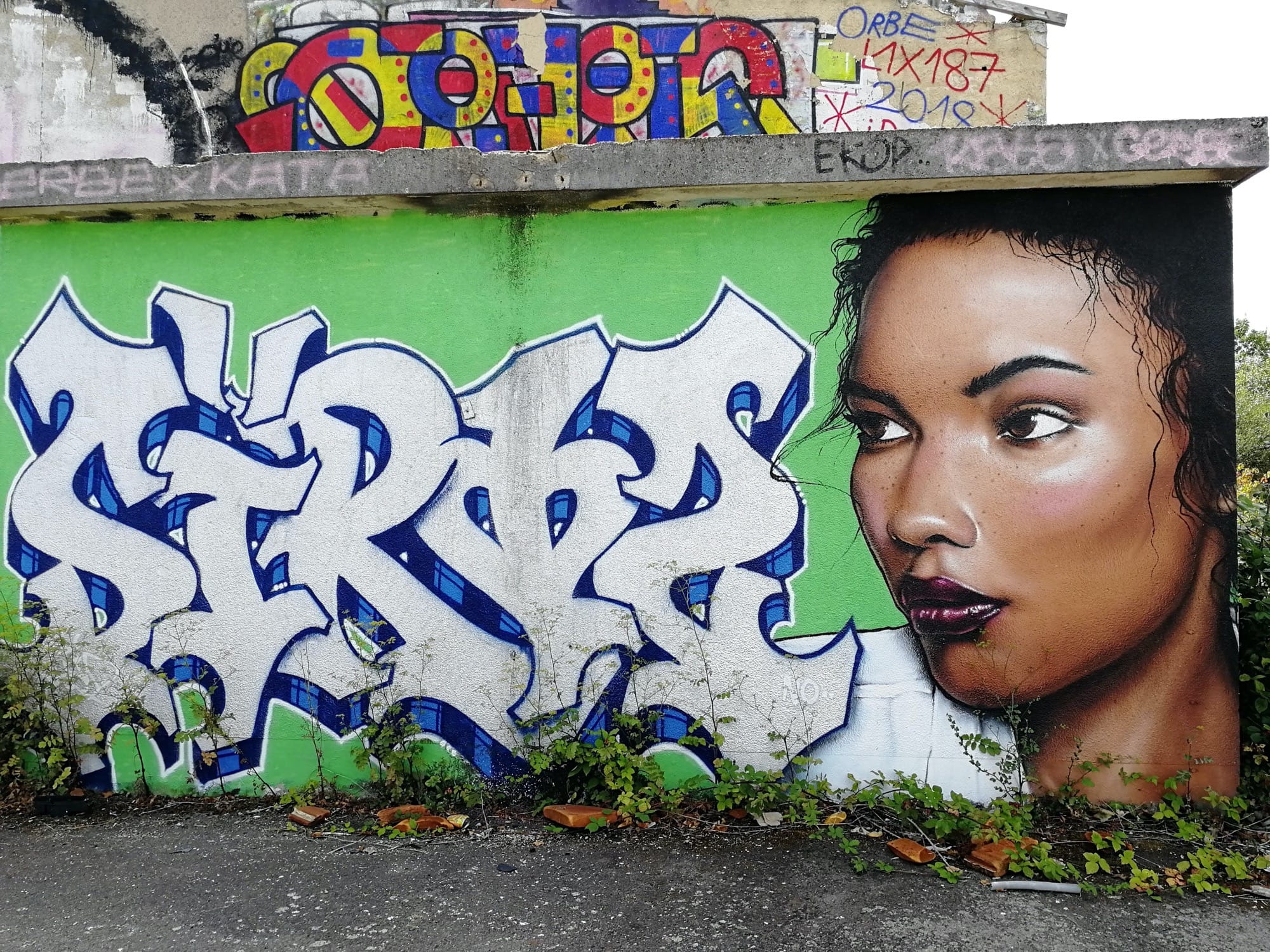 Graffiti 3068  capturé par Rabot à Chantepie France