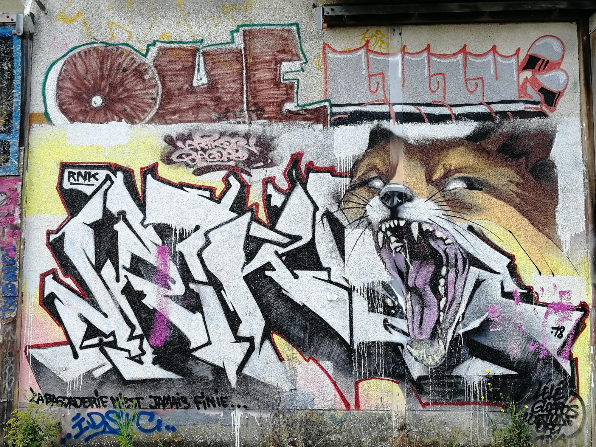 Graffiti 3071  capturé par Rabot à Chantepie France