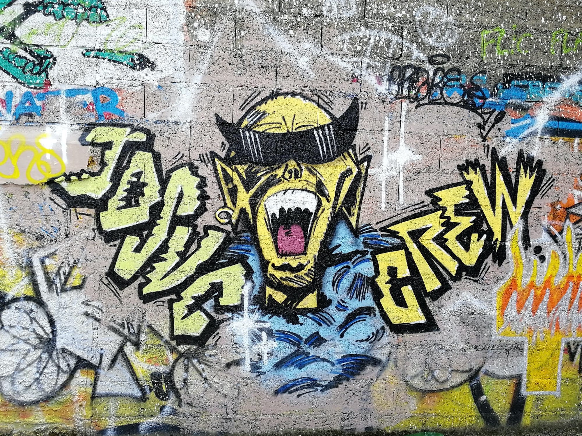 Graffiti 3075  capturé par Rabot à Chantepie France