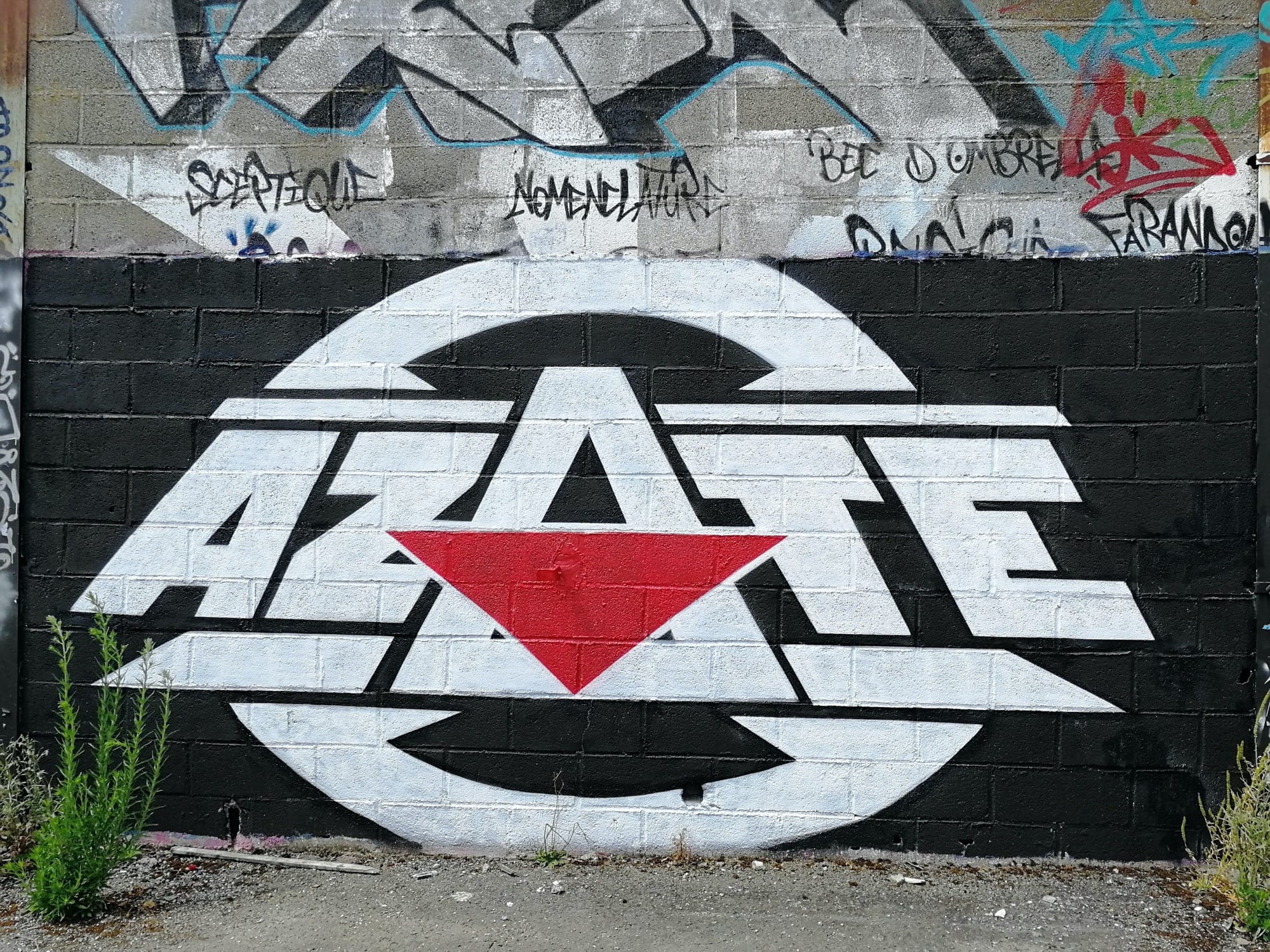 Graffiti 3078  capturé par Rabot à Chantepie France