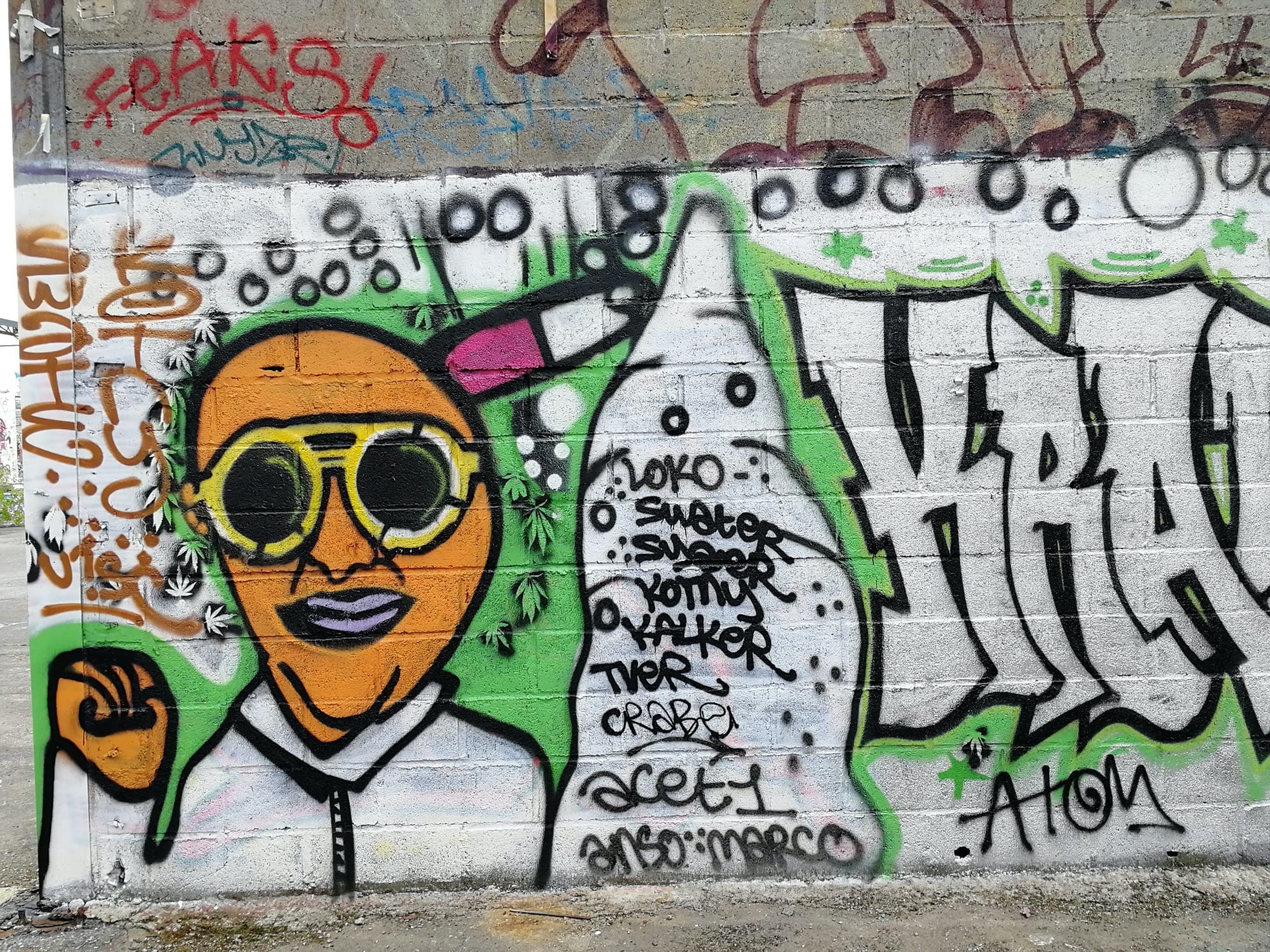 Graffiti 3081  capturé par Rabot à Chantepie France