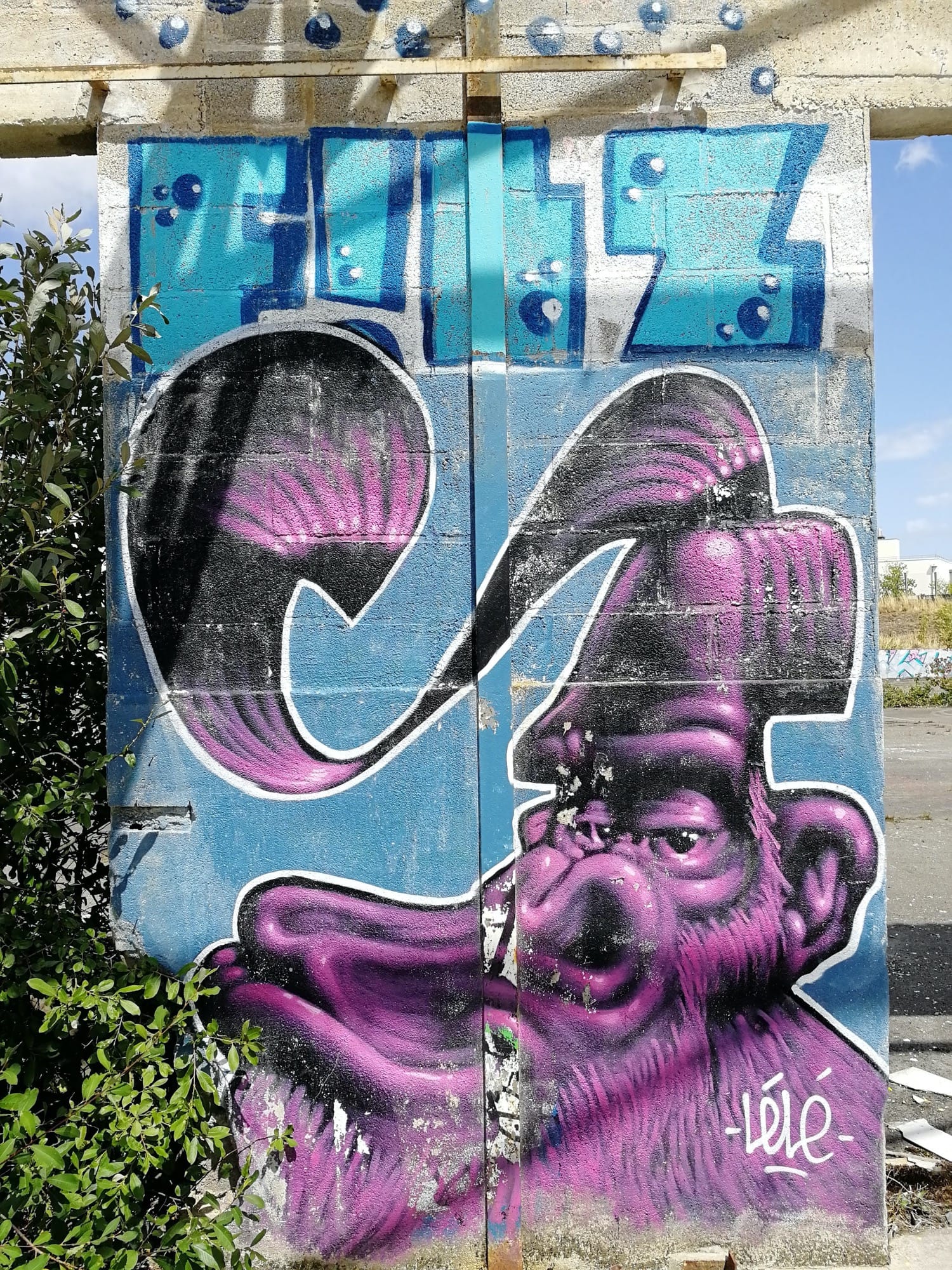 Graffiti 3098  de Lélé capturé par Rabot à Chantepie France