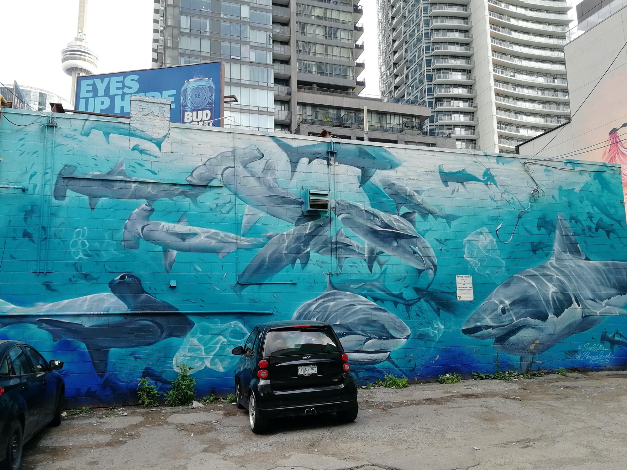 Graffiti 3209  capturé par Rabot à Toronto Canada