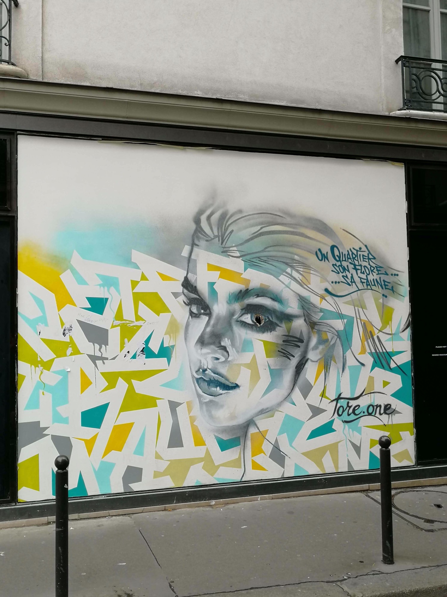 Graffiti 3229  captured by Rabot in Paris France