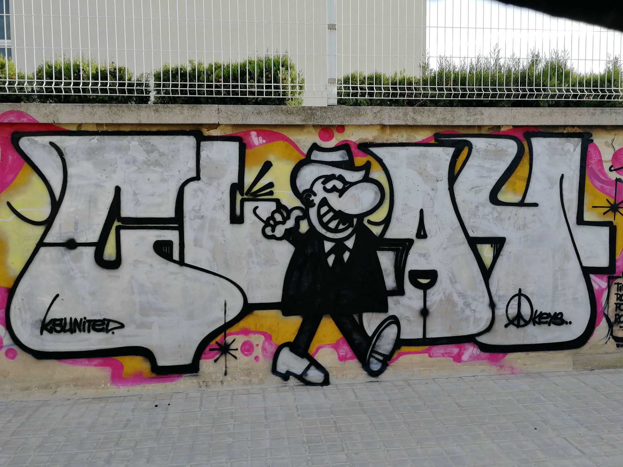 Graffiti 3409  captured by Rabot in València Spain