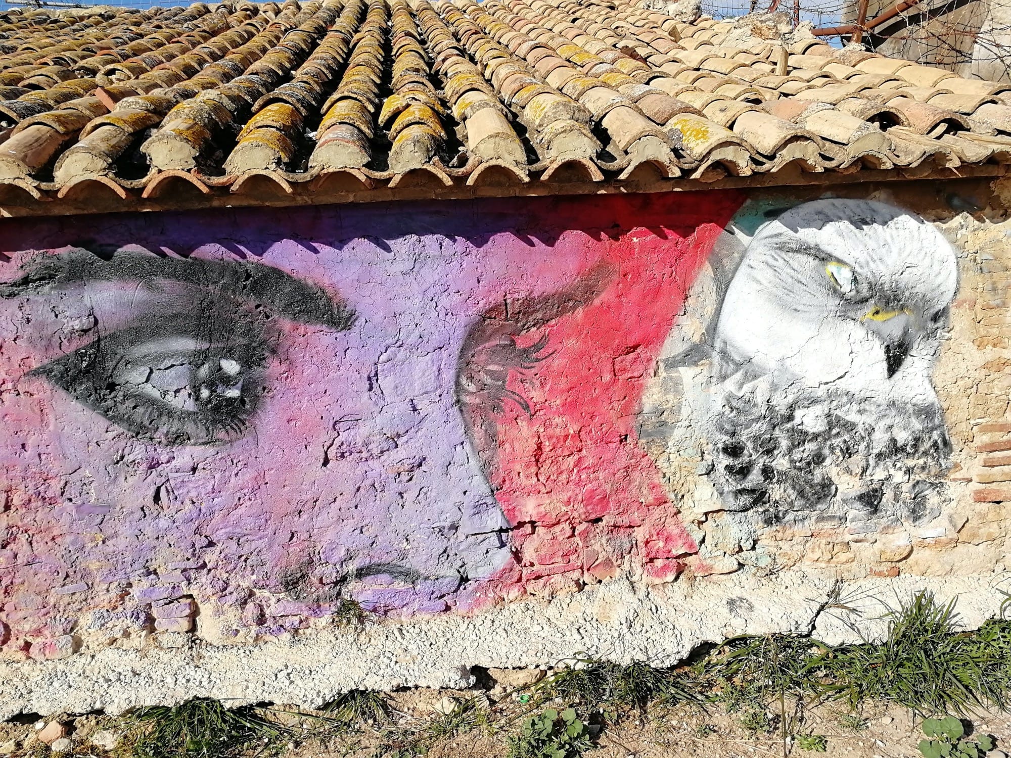 Graffiti 3424  captured by Rabot in València Spain