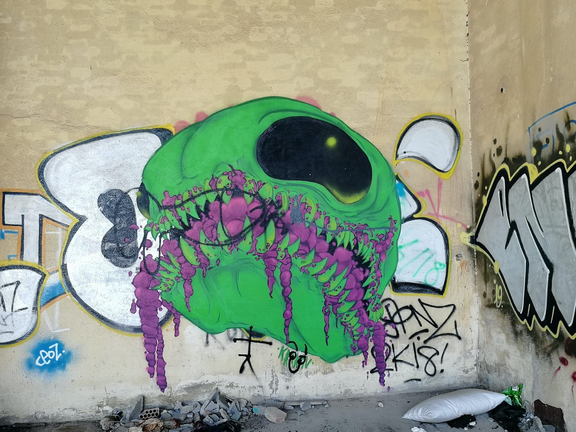 Graffiti 3438  capturé par Rabot à València Spain
