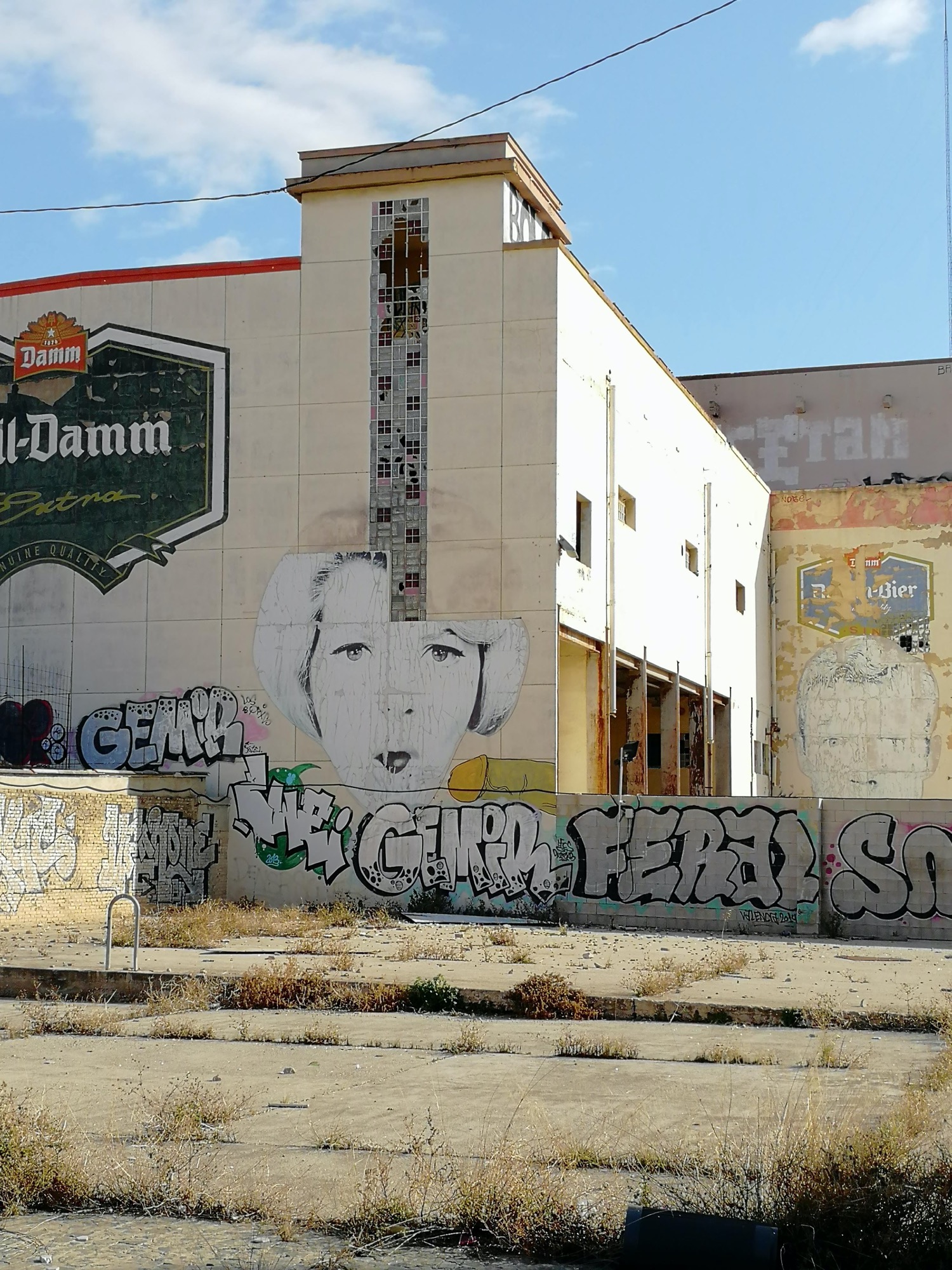 Graffiti 3439  captured by Rabot in València Spain