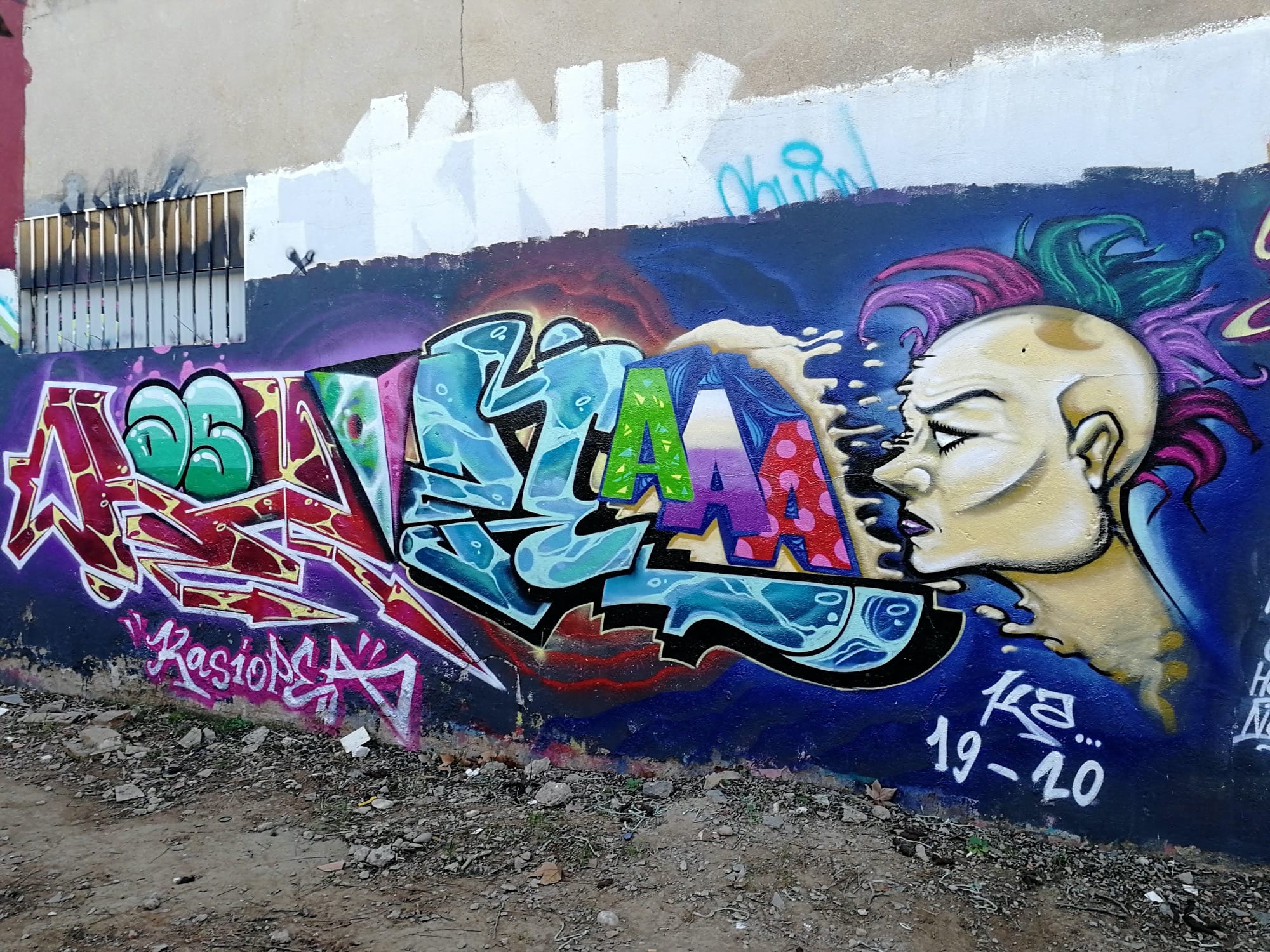 Graffiti 3447  captured by Rabot in València Spain