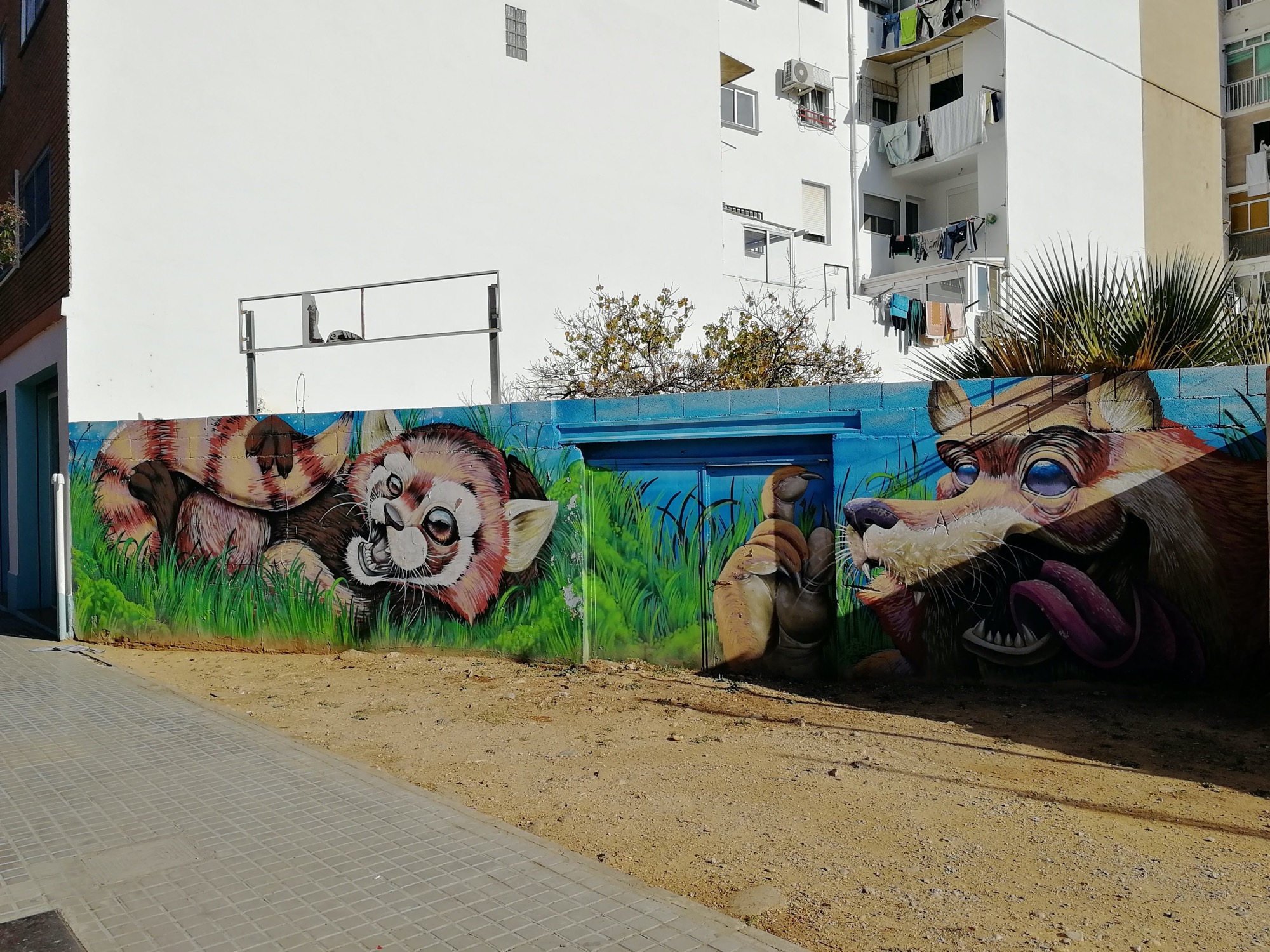 Graffiti 3467  captured by Rabot in València Spain