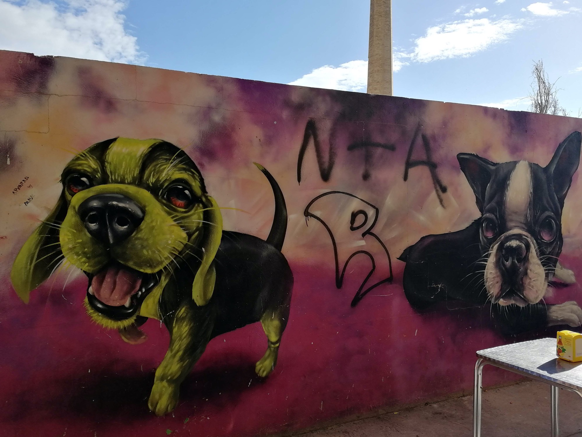 Graffiti 3469  capturé par Rabot à València Spain