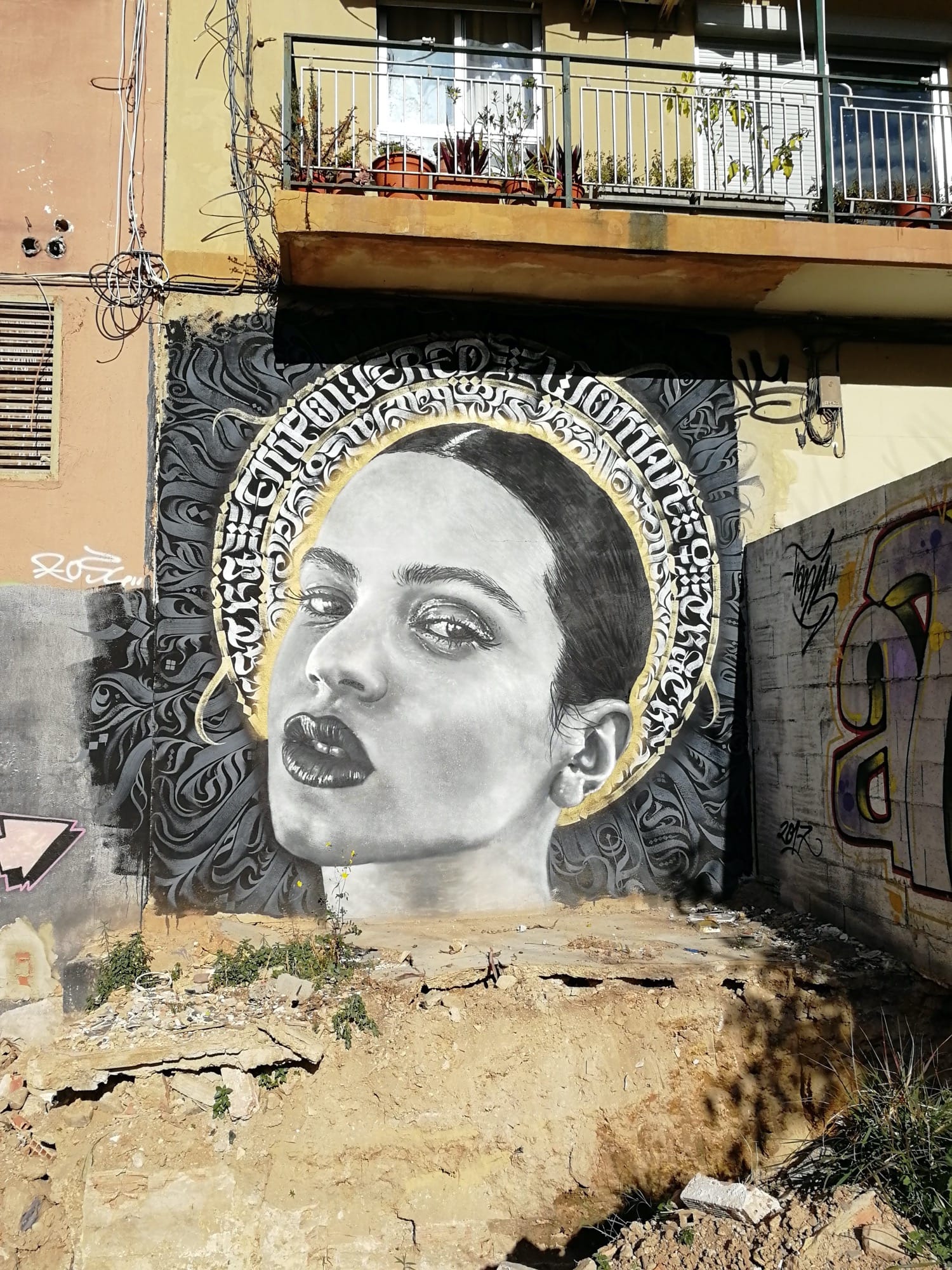 Graffiti 3485  captured by Rabot in València Spain