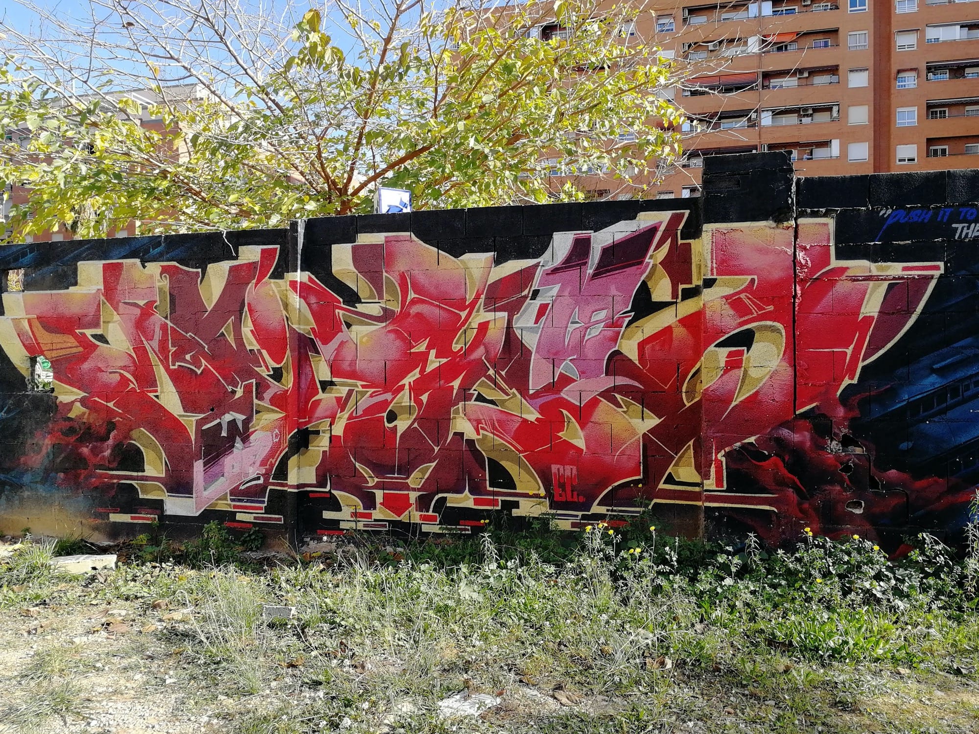 Graffiti 3489  capturé par Rabot à València Spain