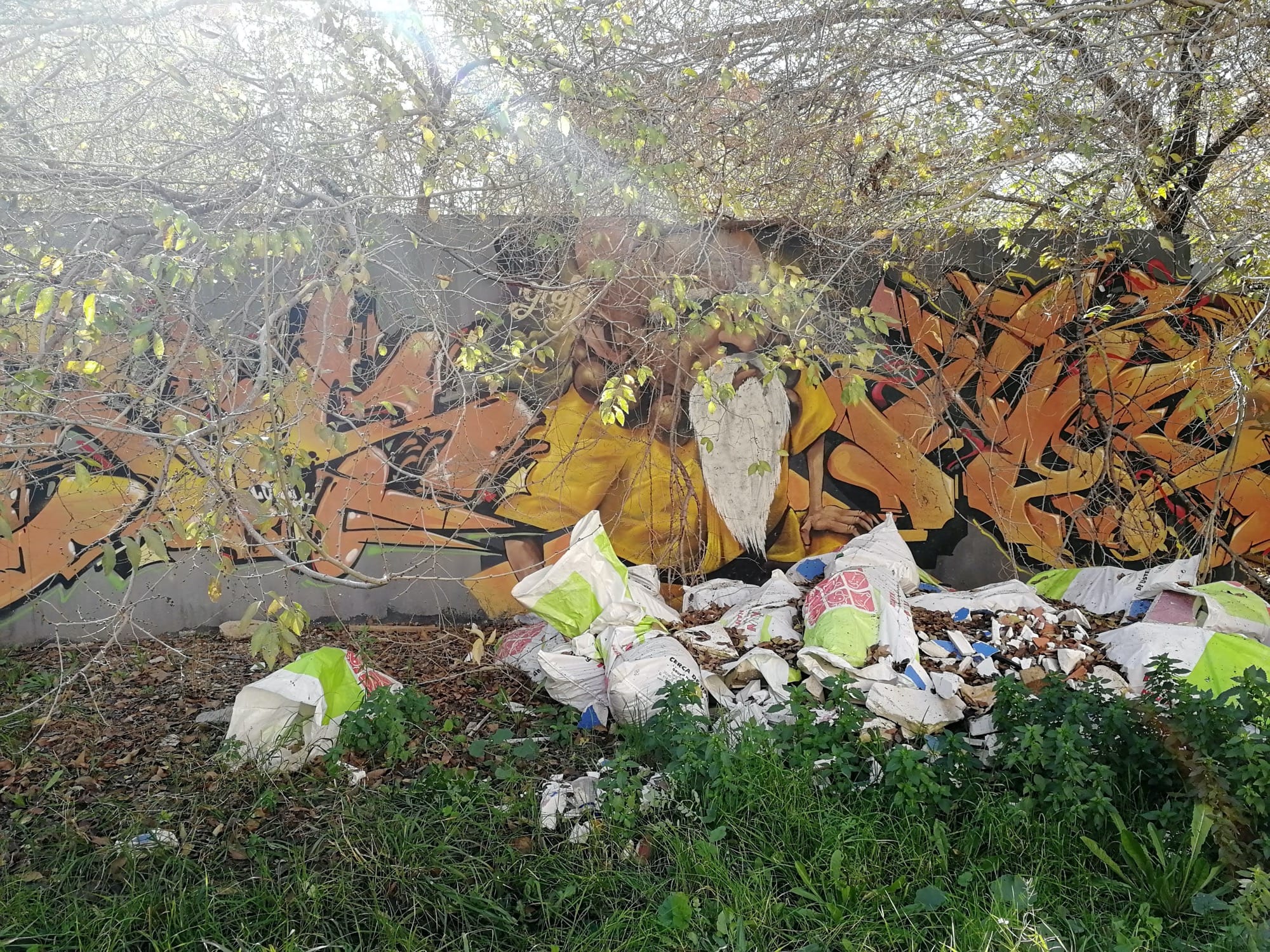 Graffiti 3490  capturé par Rabot à València Spain