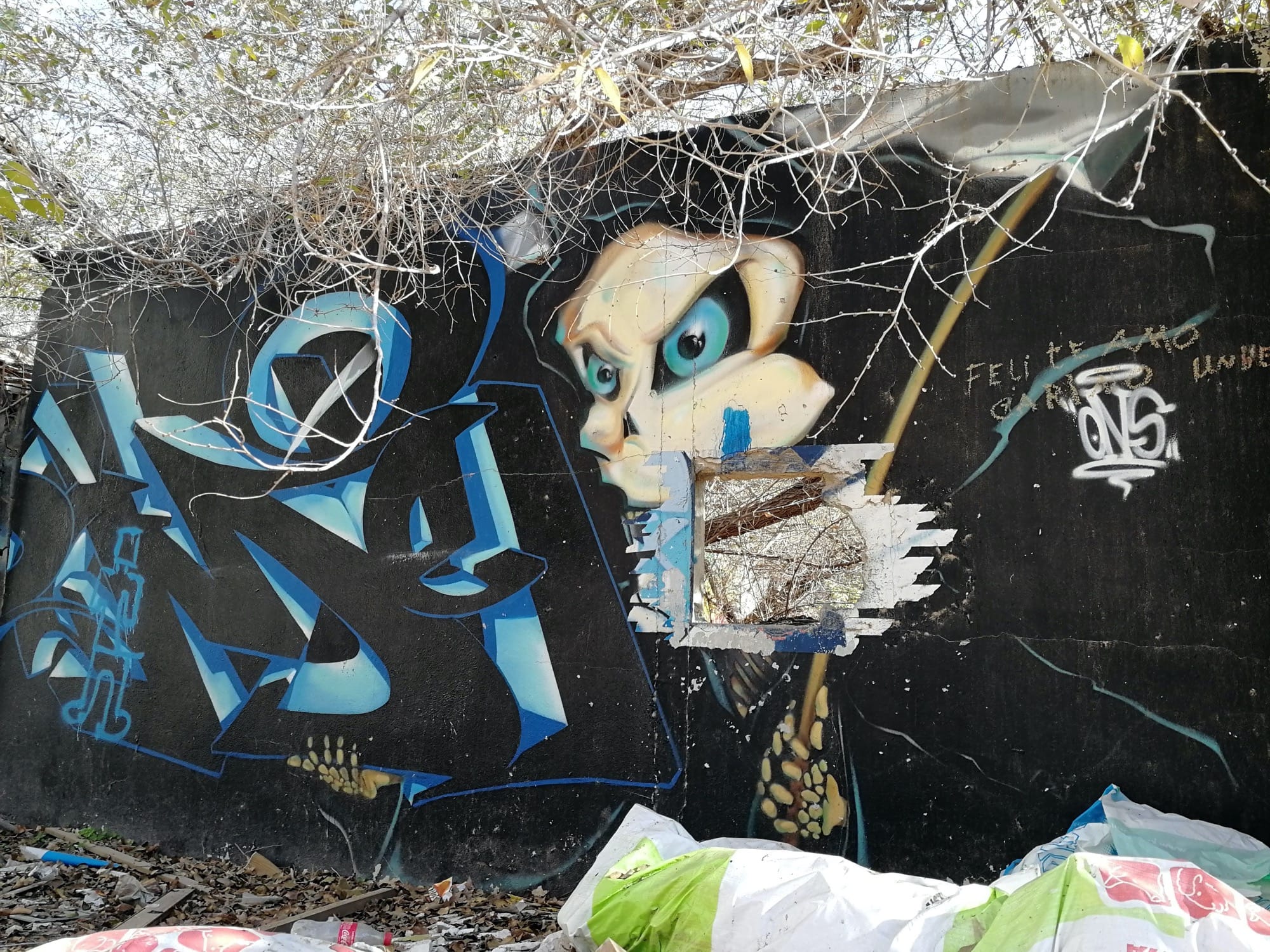 Graffiti 3491  capturé par Rabot à València Spain