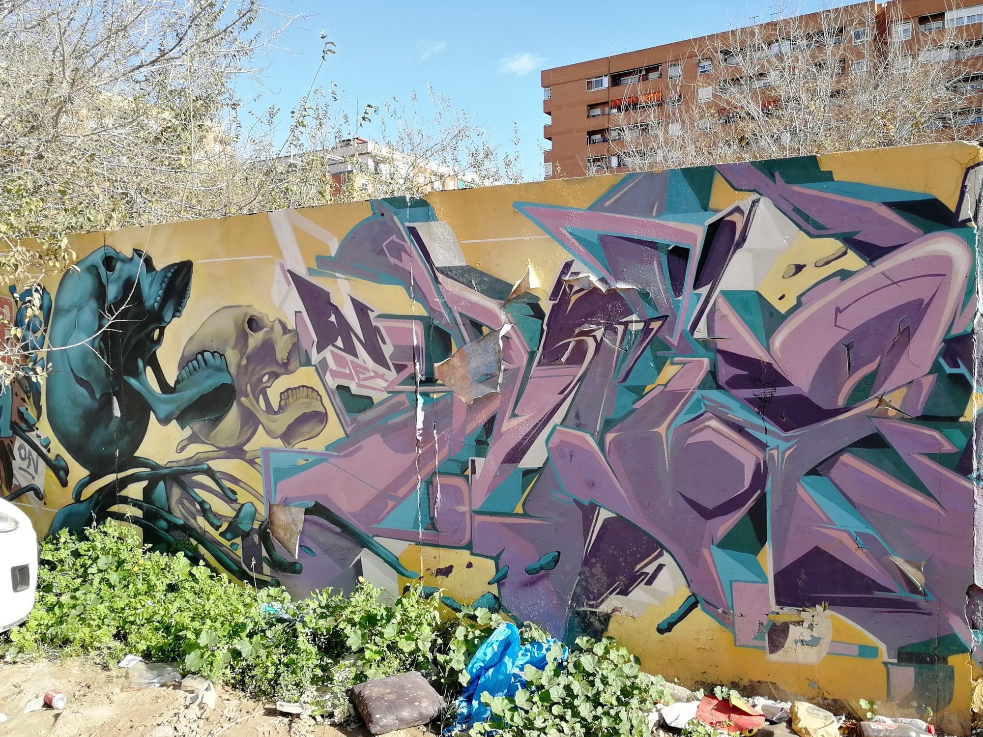 Graffiti 3492  capturé par Rabot à València Spain