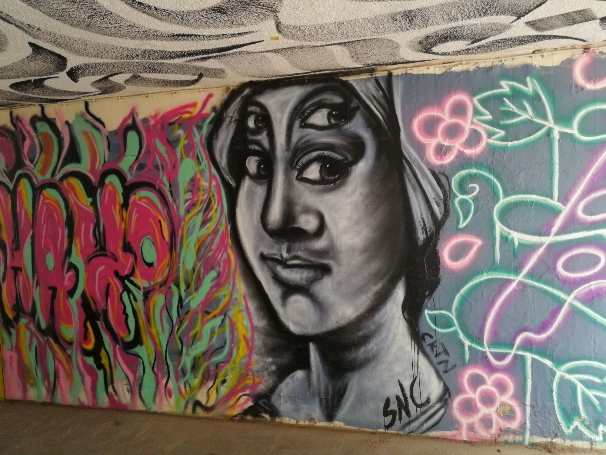 Graffiti 3501  captured by Rabot in València Spain