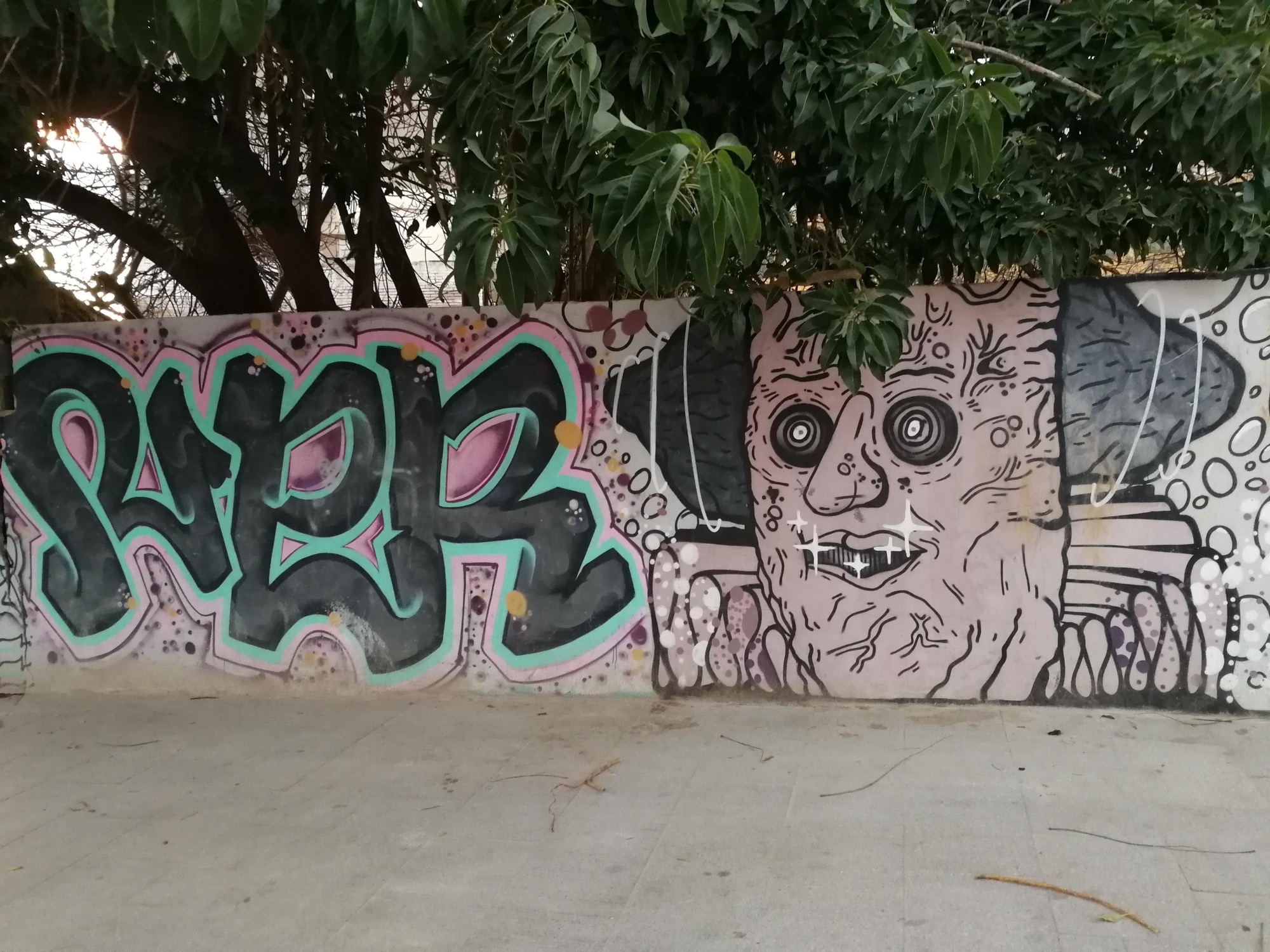 Graffiti 3503  capturé par Rabot à València Spain