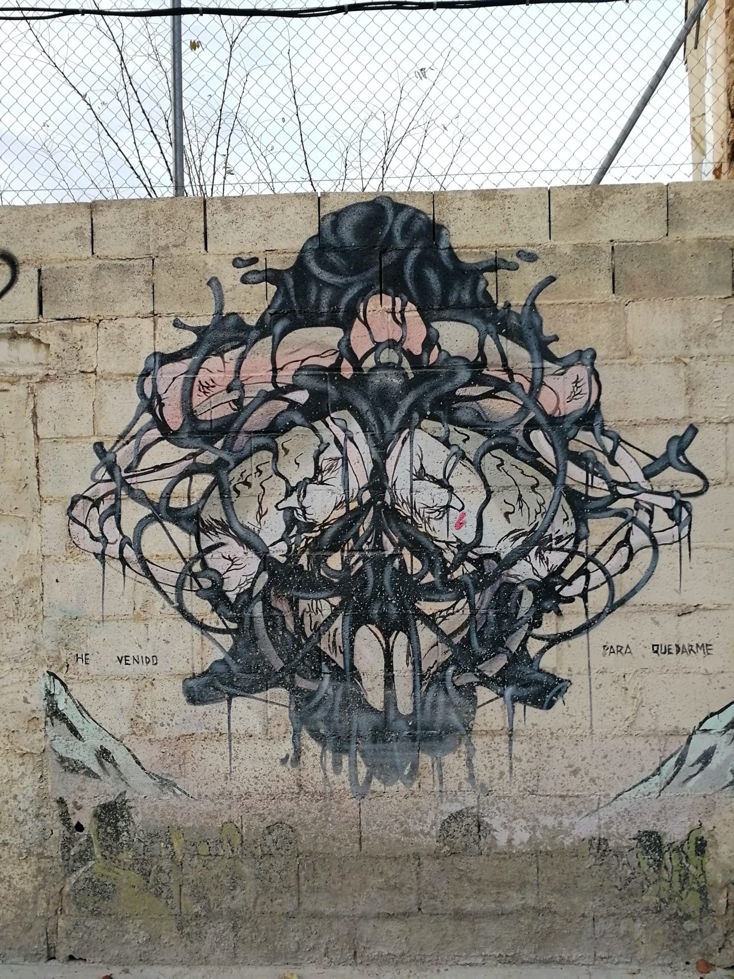 Graffiti 3513  capturé par Rabot à València Spain