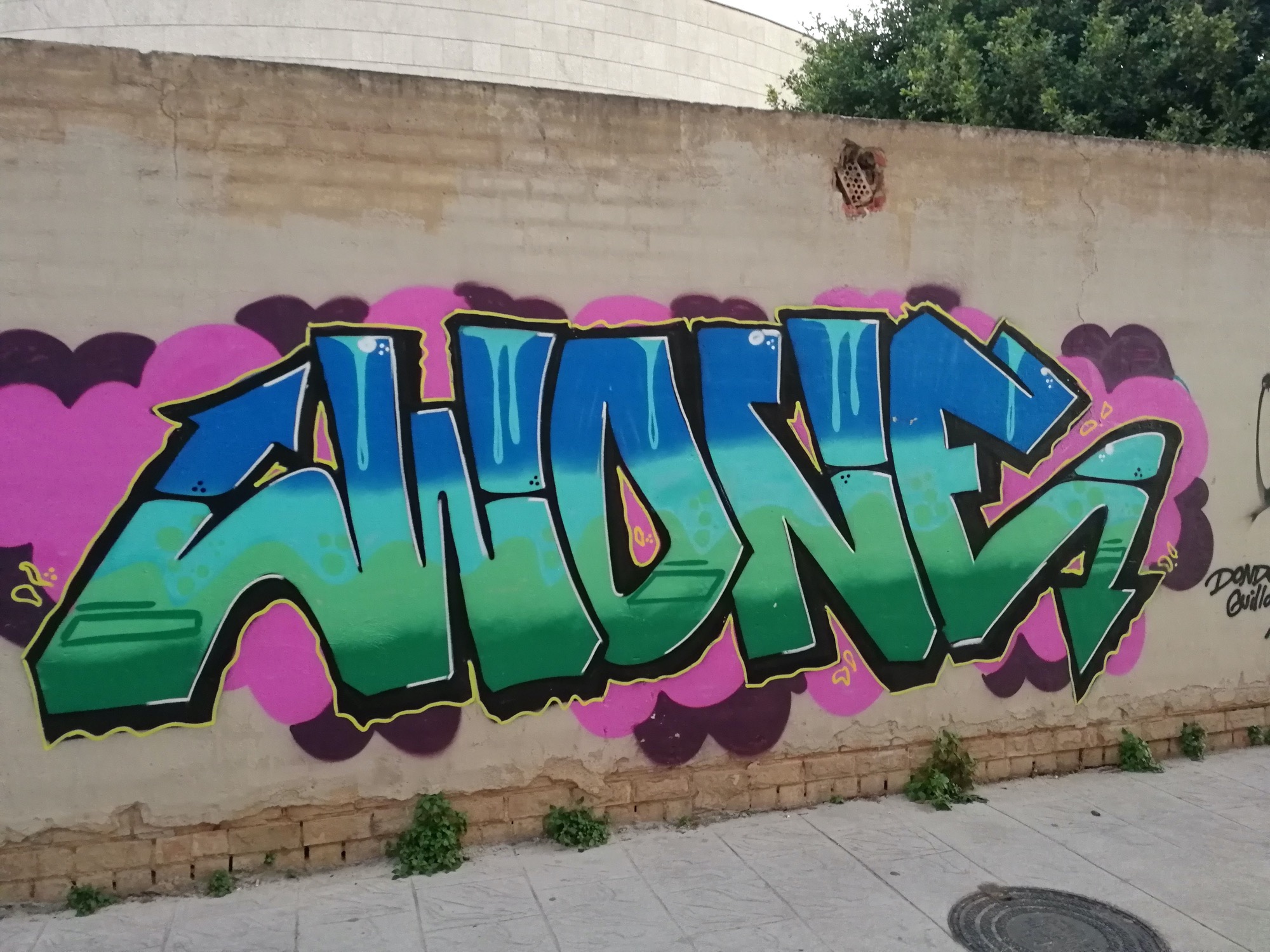 Graffiti 3516  capturé par Rabot à València Spain
