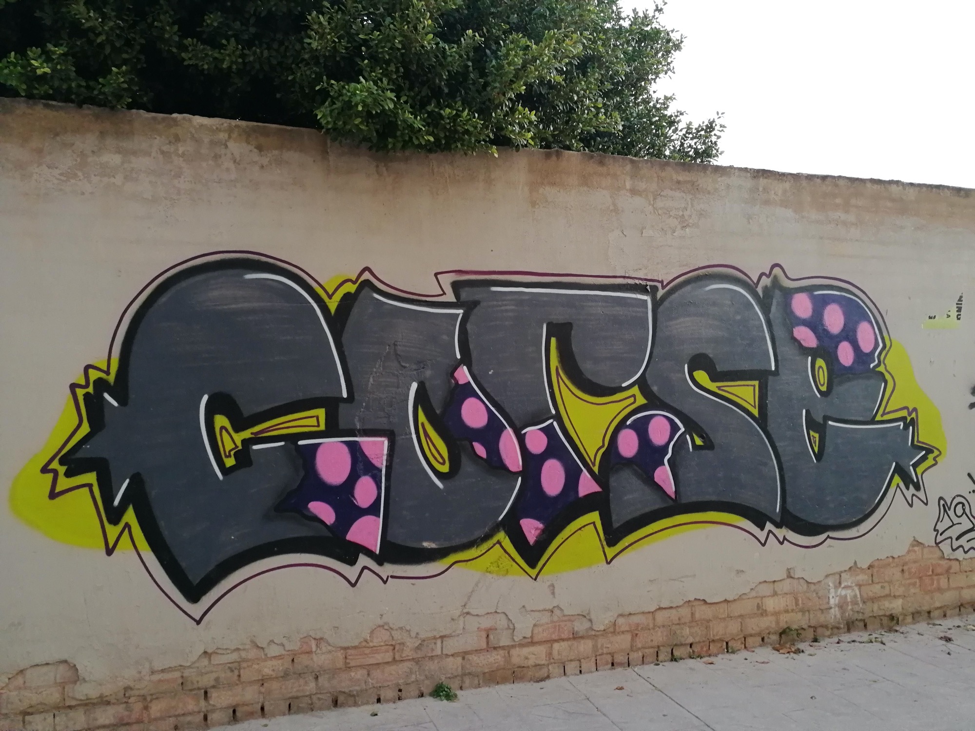 Graffiti 3517  capturé par Rabot à València Spain