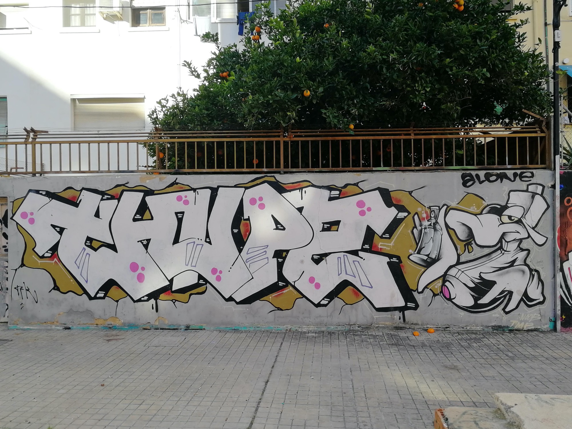 Graffiti 3523  captured by Rabot in València Spain
