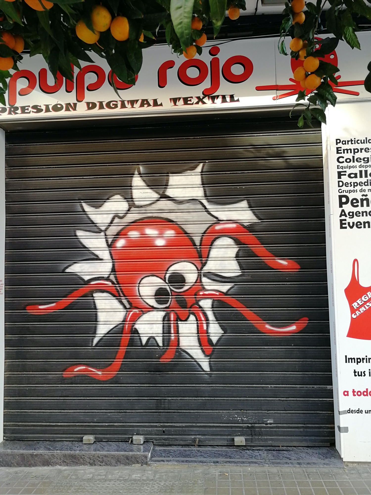 Graffiti 3533  capturé par Rabot à València Spain