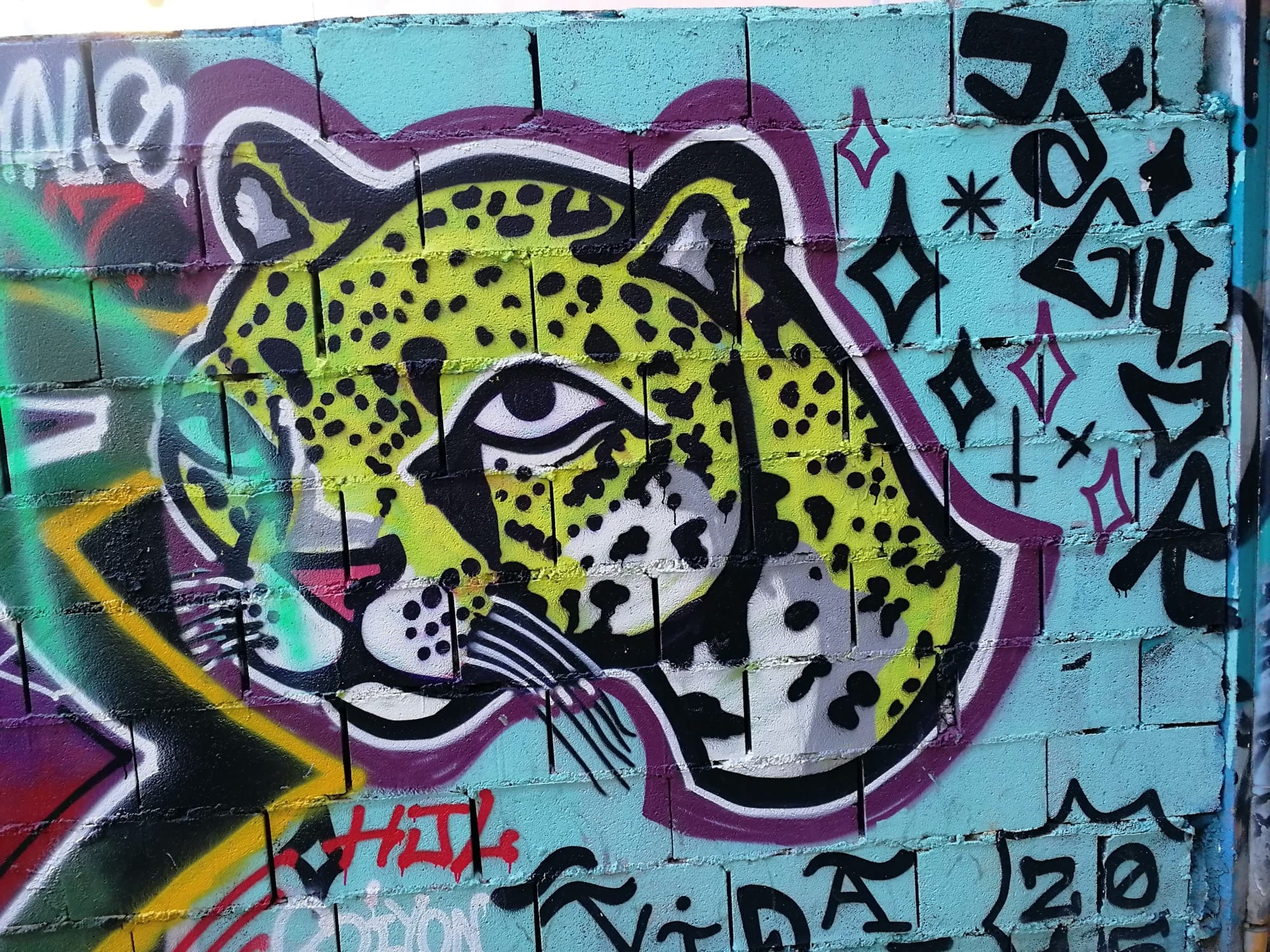 Graffiti 3571  à València Spain