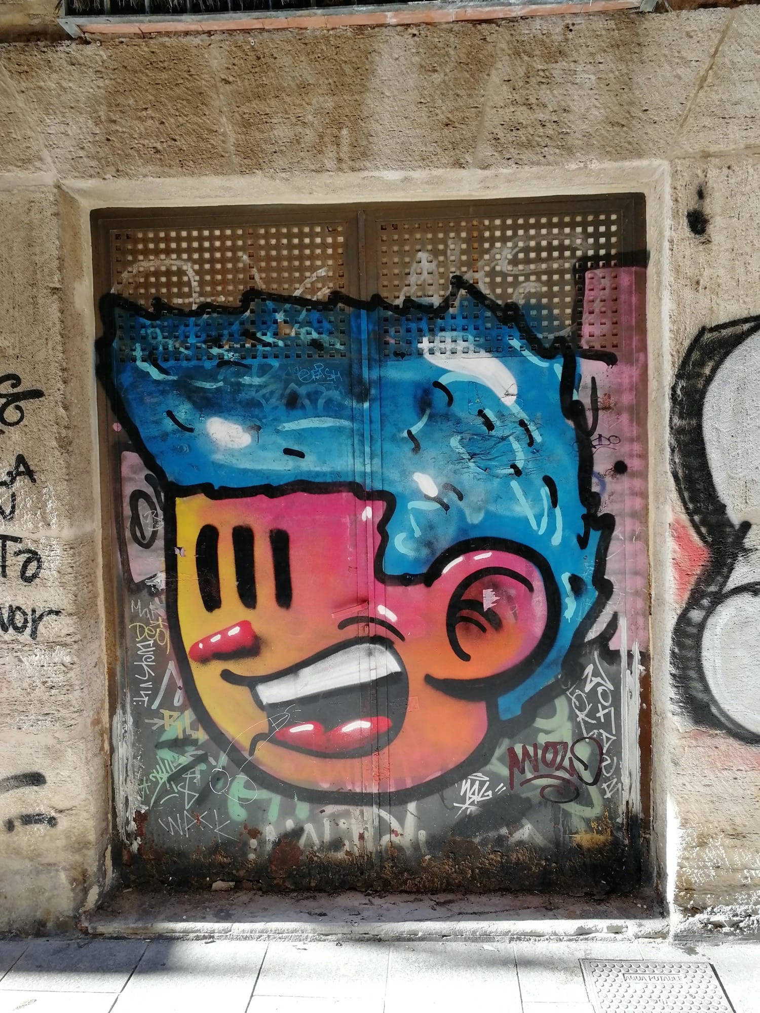 Graffiti 3634  capturé par Rabot à València Spain