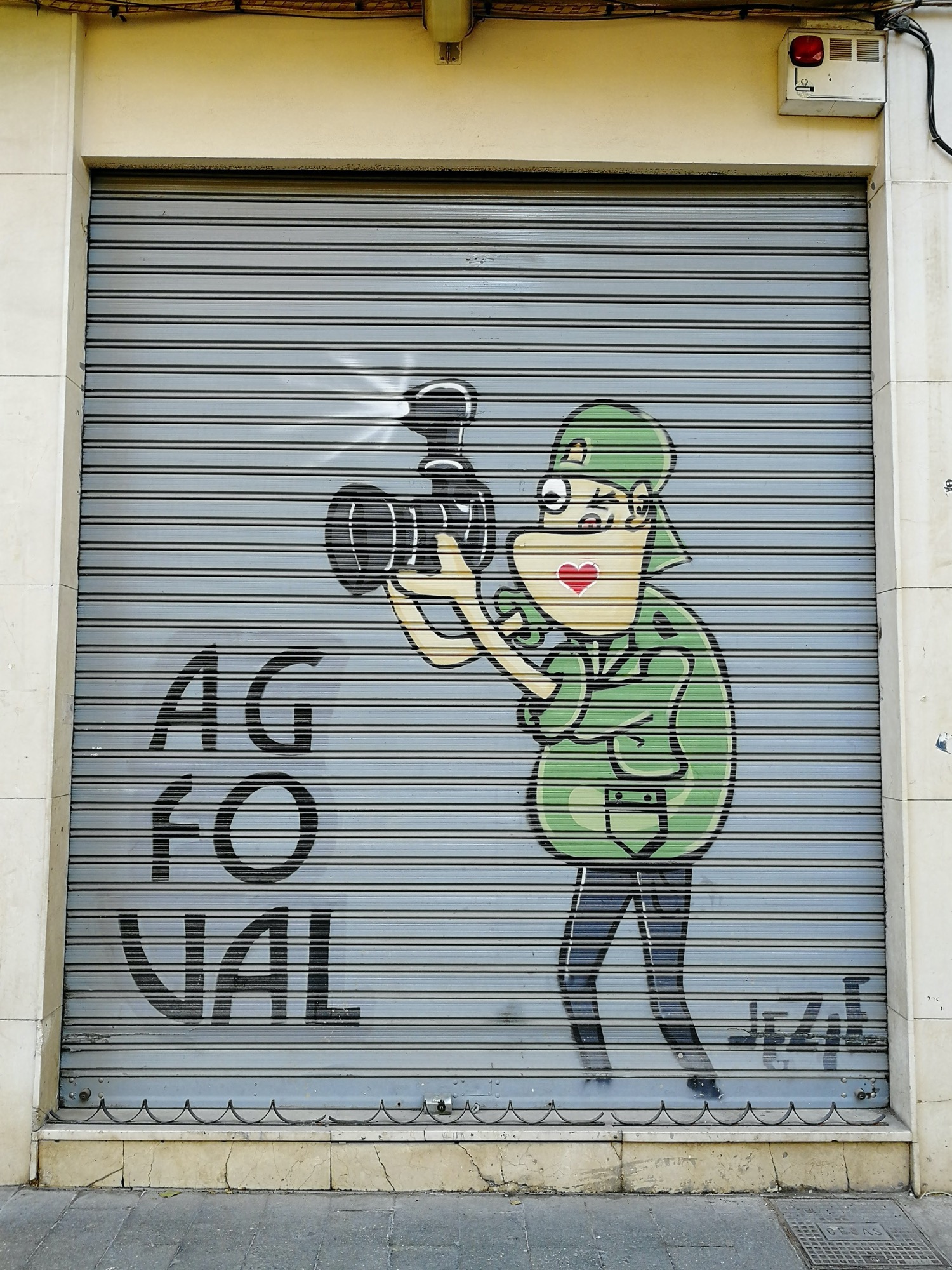 Graffiti 3648  capturé par Rabot à València Spain