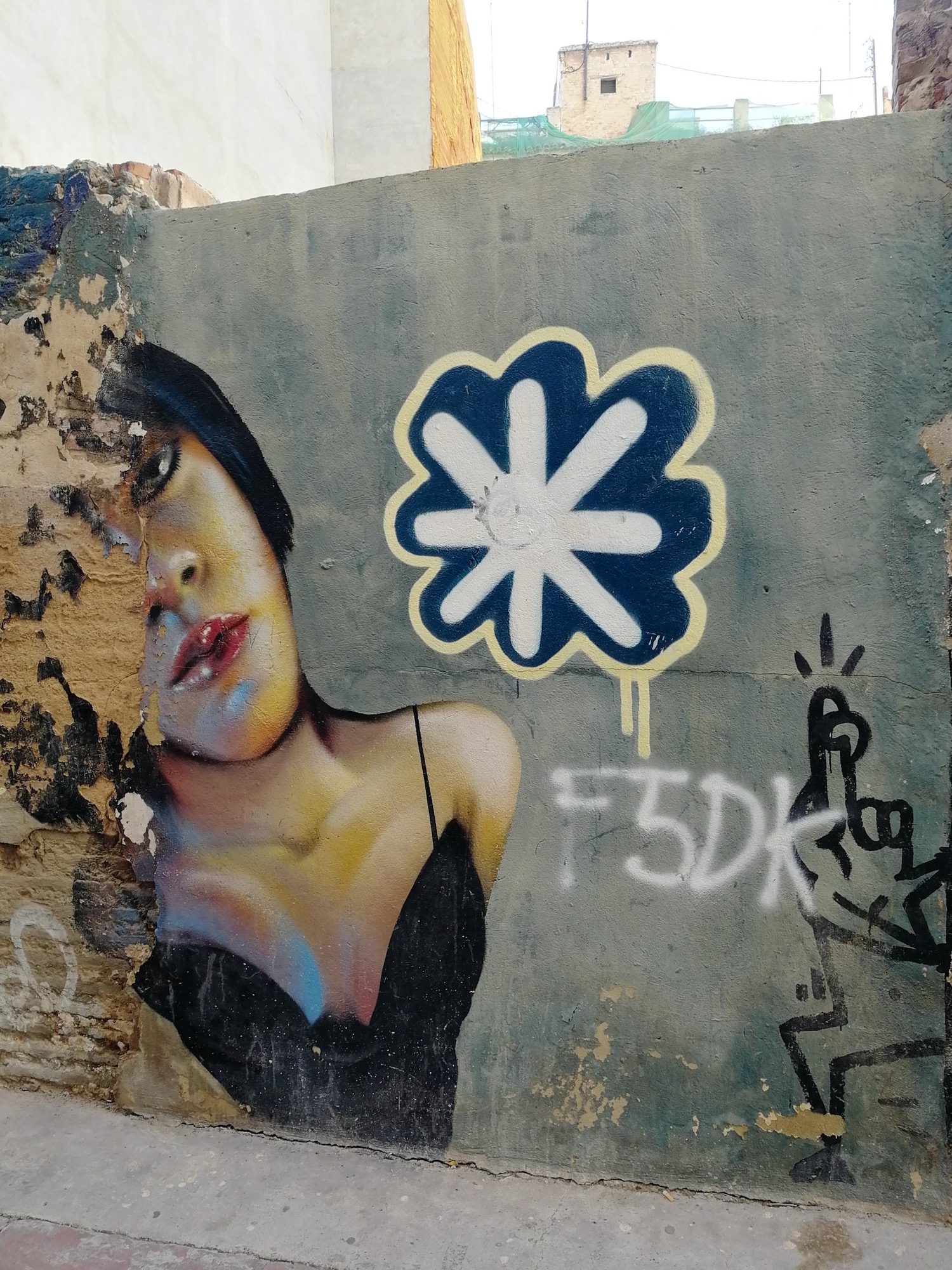 Graffiti 3654  capturé par Rabot à València Spain