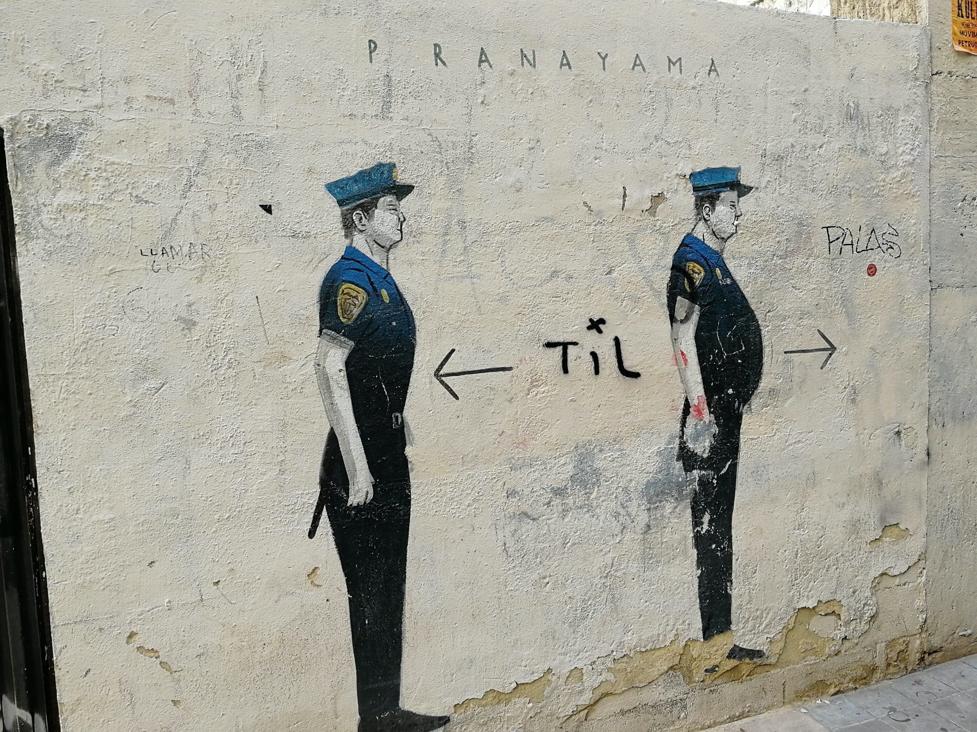 Graffiti 3664  capturé par Rabot à València Spain