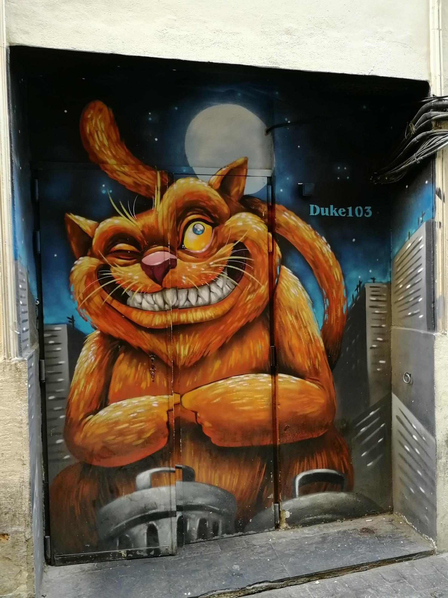 Graffiti 3675  by the artist Duke 103 captured by Rabot in València Spain