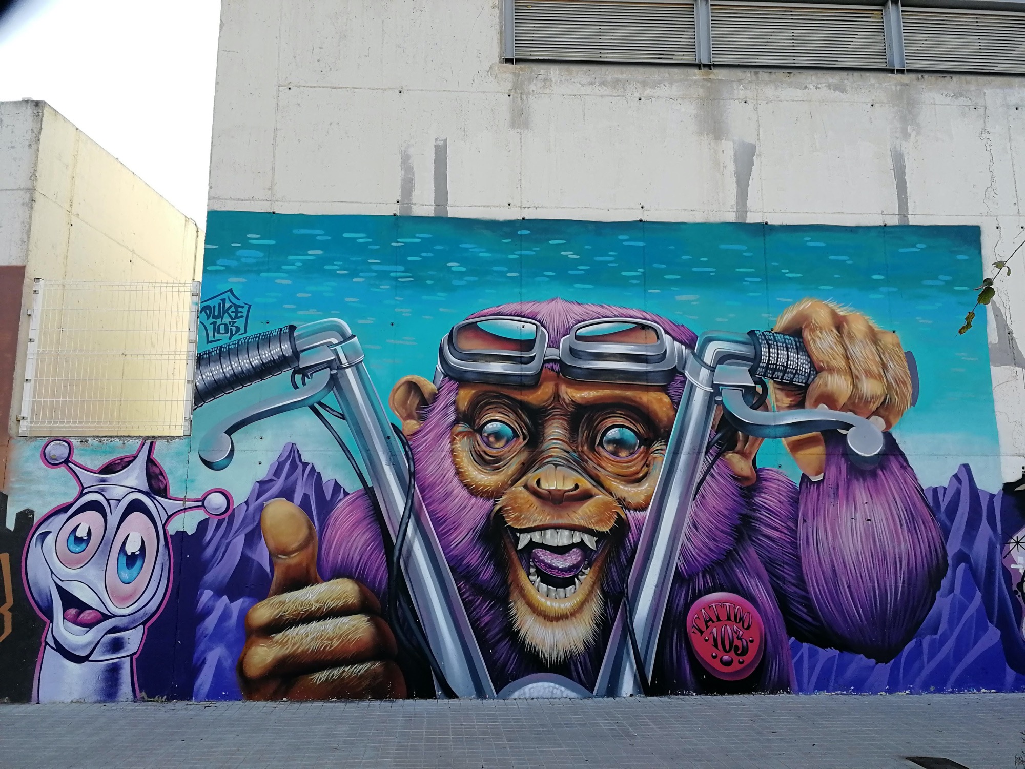 Graffiti 3680  by the artist Duke 103 captured by Rabot in València Spain