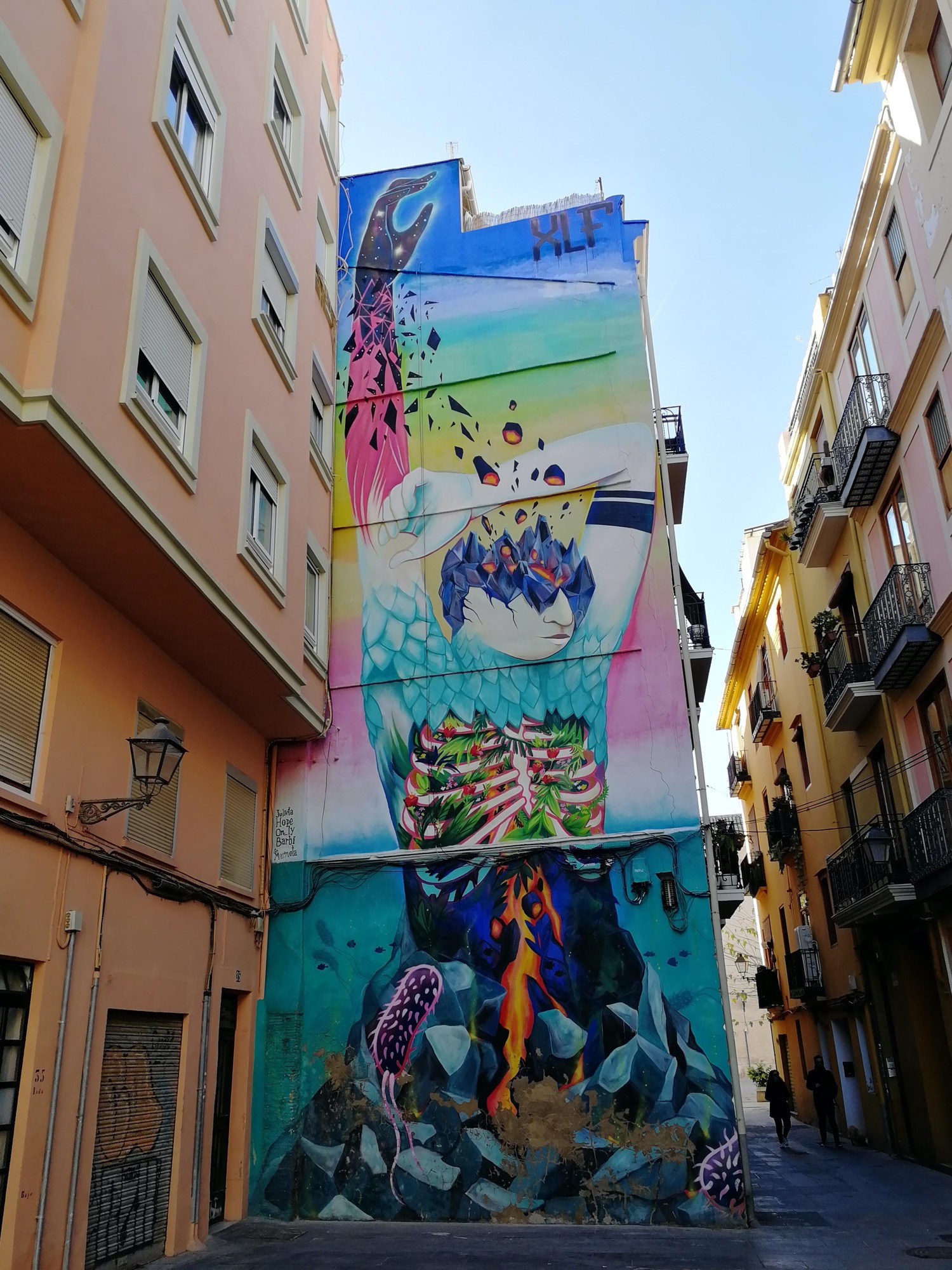 Graffiti 3730  by the artist Julieta xlf captured by Rabot in València Spain