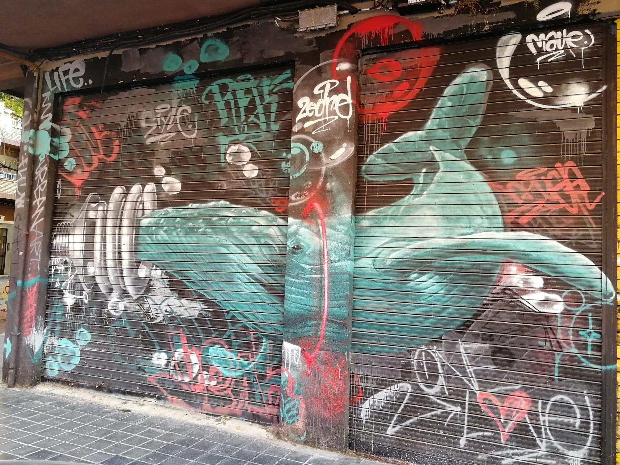 Graffiti 3751  de Zedre capturé par Rabot à València Spain