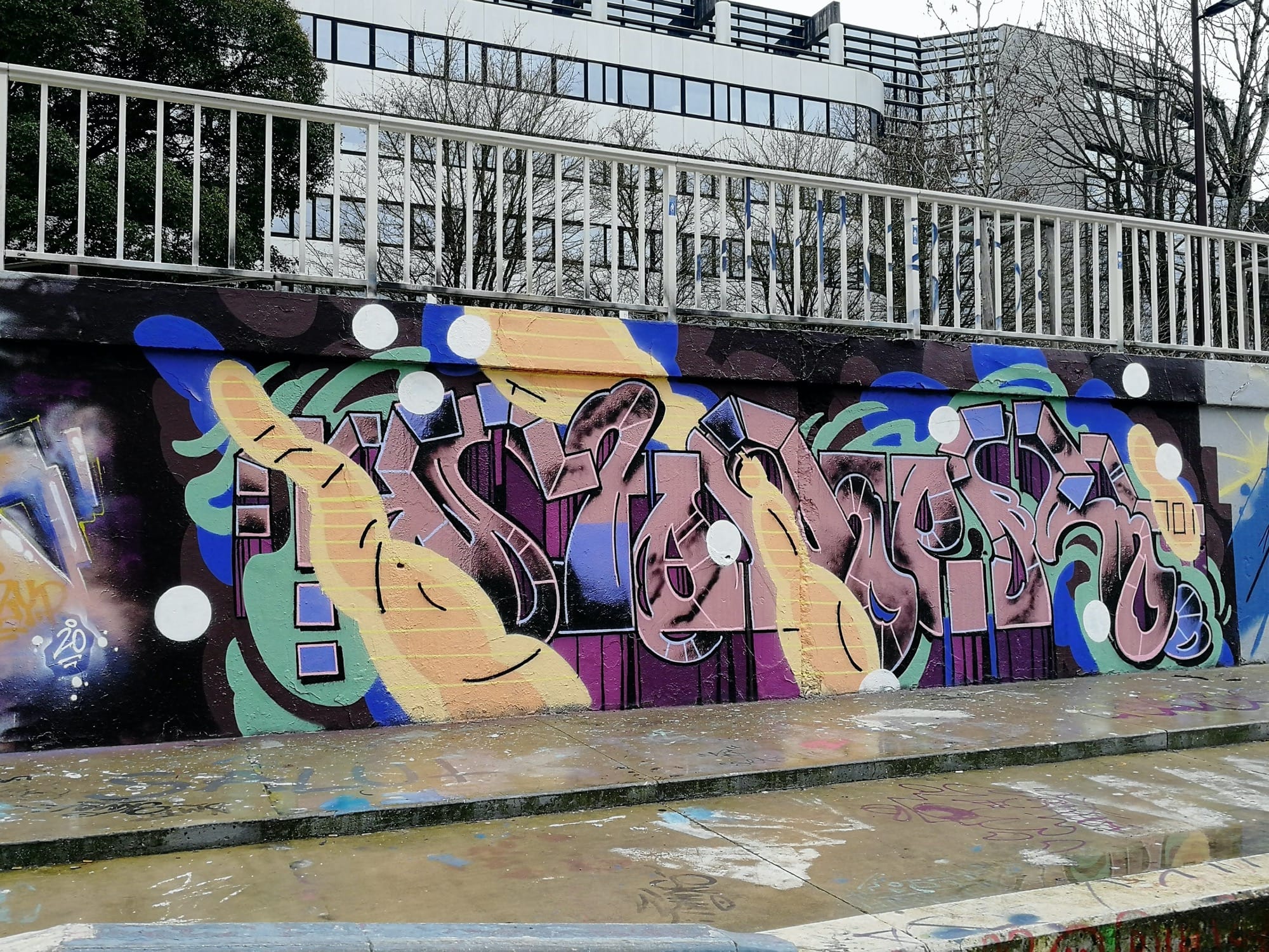 Graffiti 4034  captured by Rabot in Nantes France