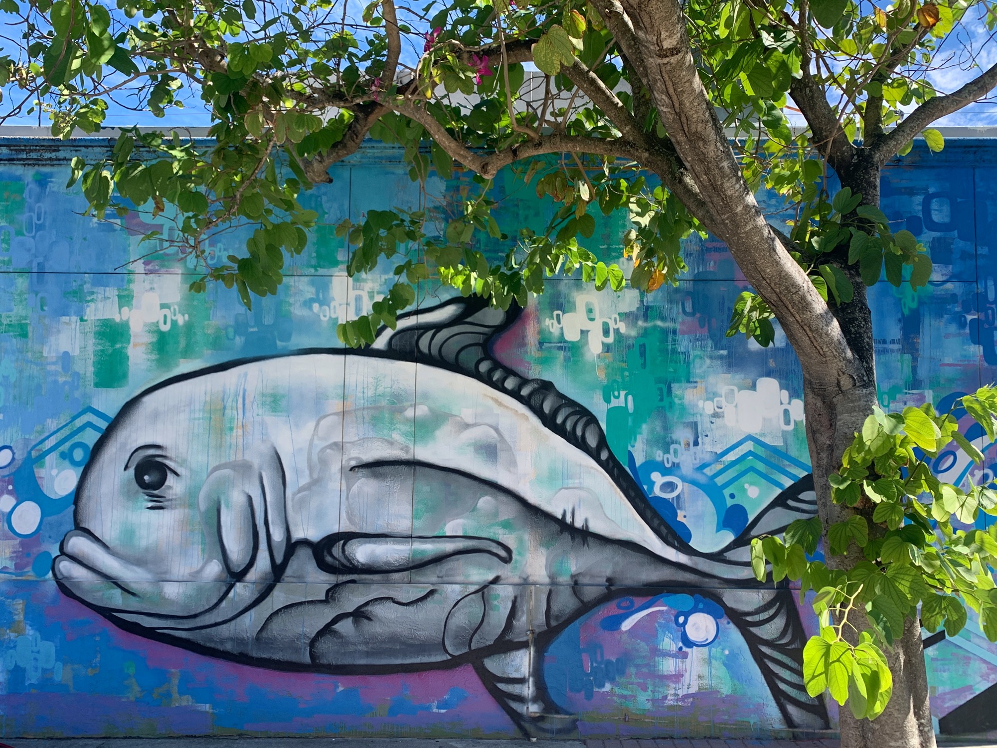 Graffiti 4090  captured by JamesZ in West Palm Beach United States
