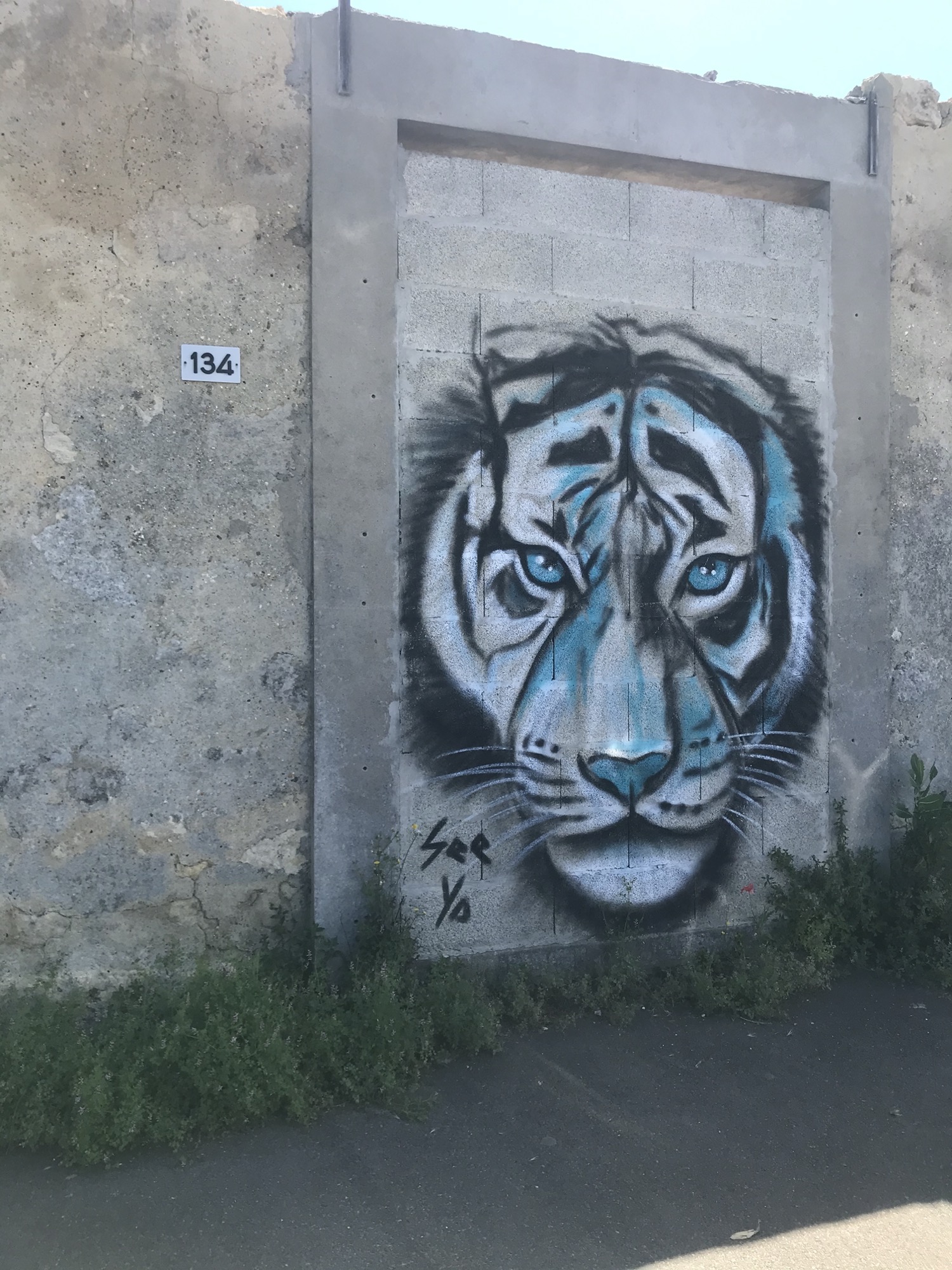 Graffiti 4120 Le tigre de see ya capturé par Julauder à Bruges France