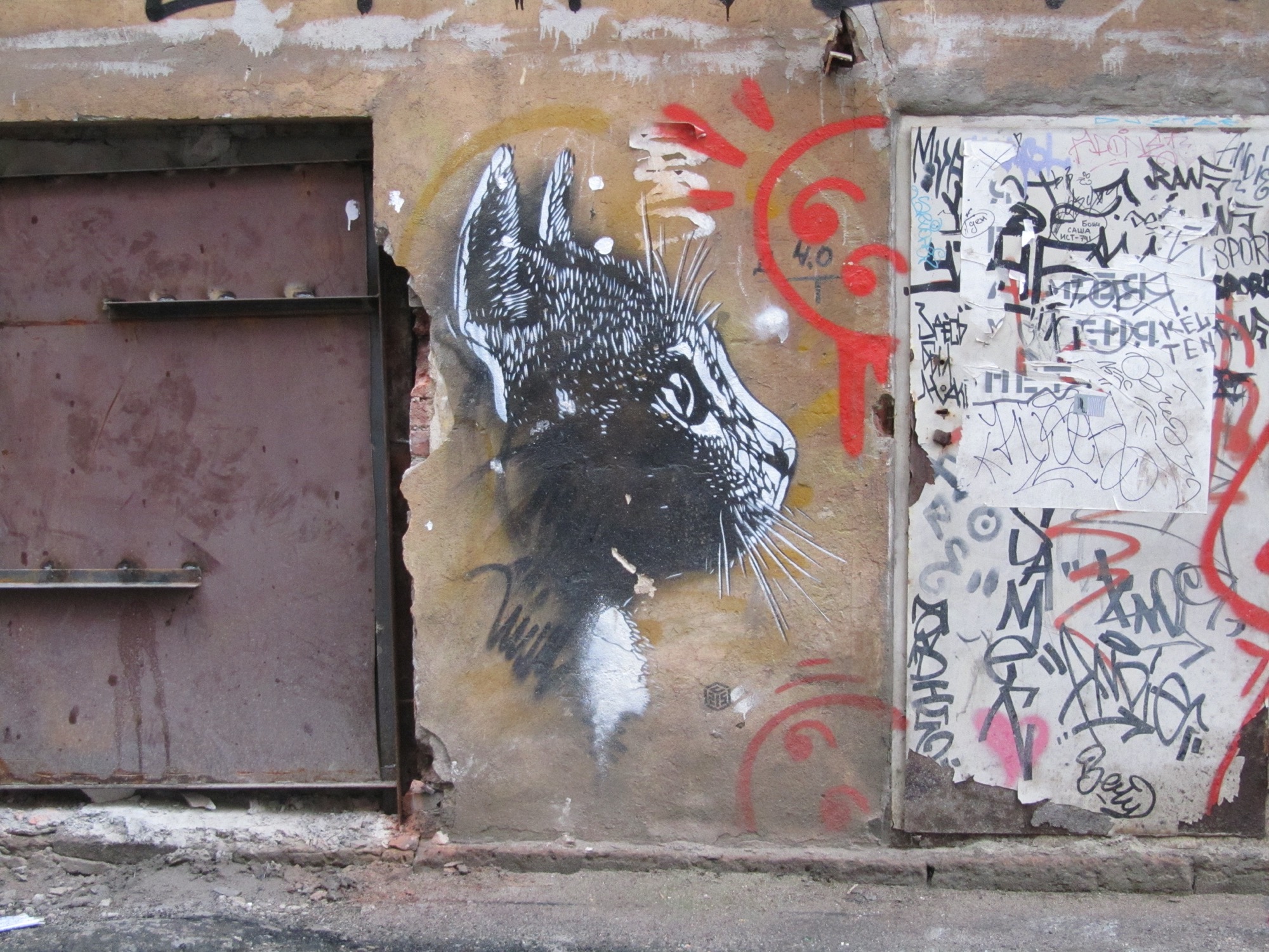 Graffiti 4243 The Cat de C215 à Sankt-Peterburg Russia