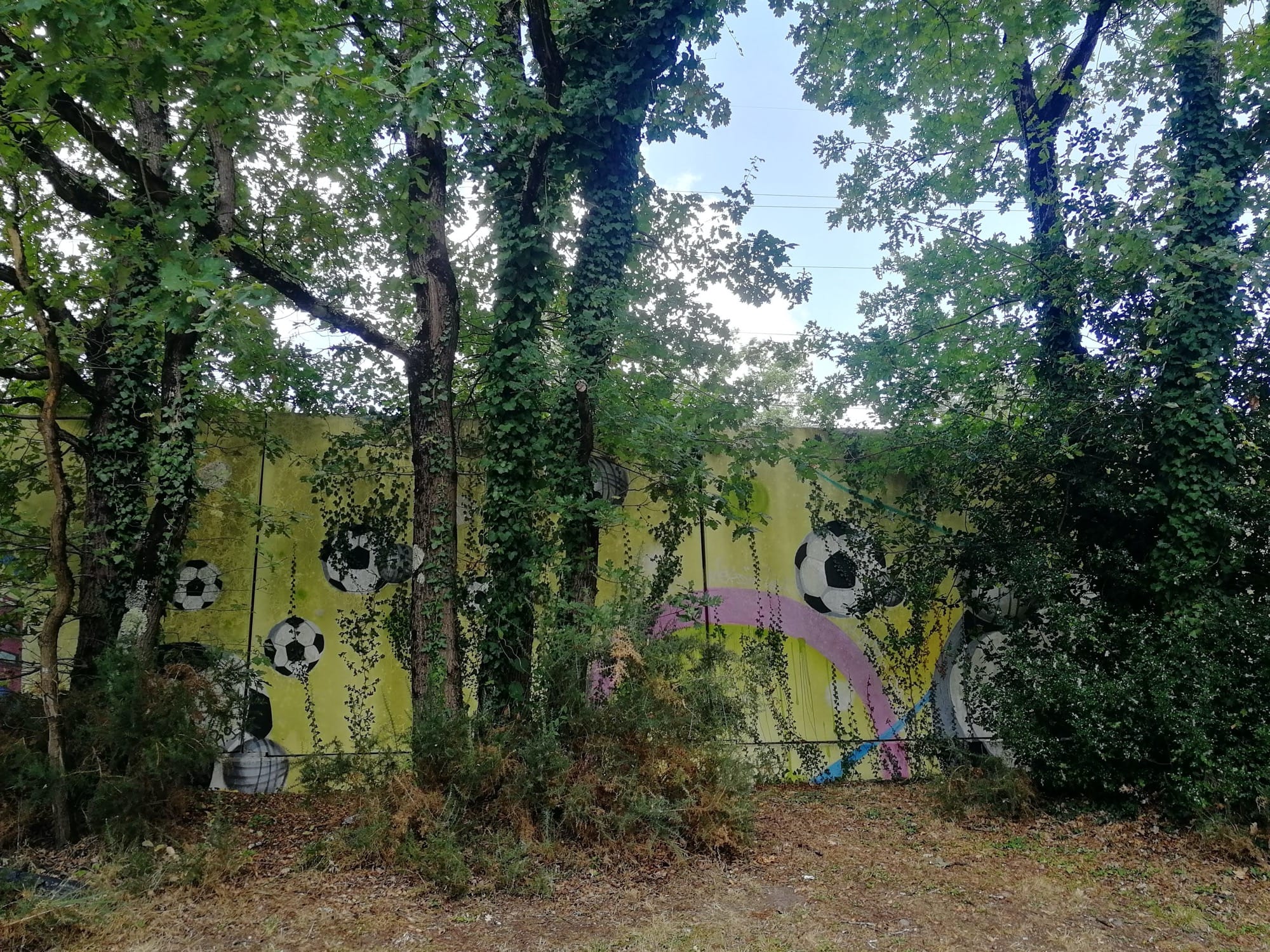 Graffiti 4313  capturé par Rabot à Pessac France