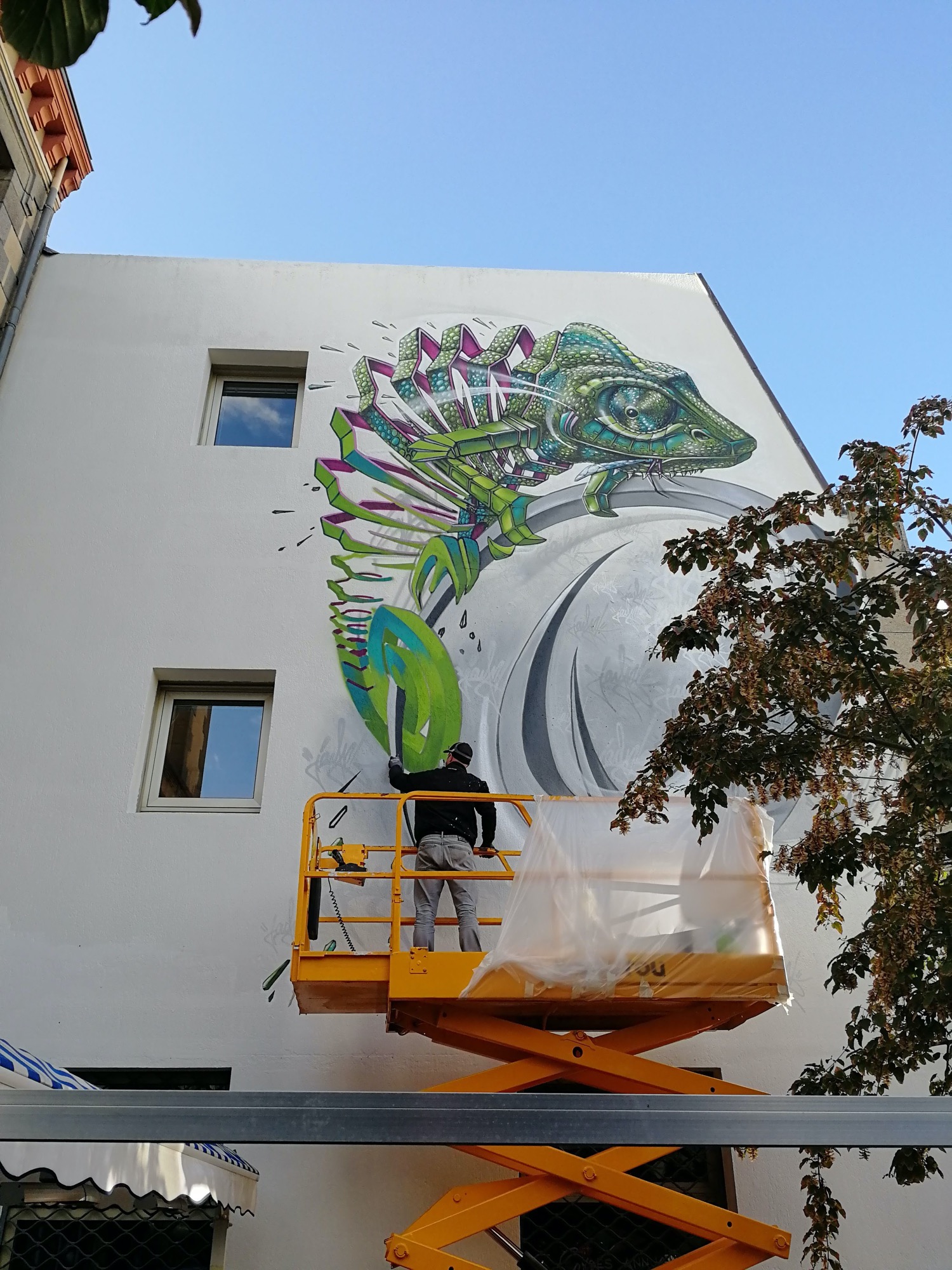 Graffiti 4468  by the artist Jayn captured by Rabot in Saint-Brieuc France