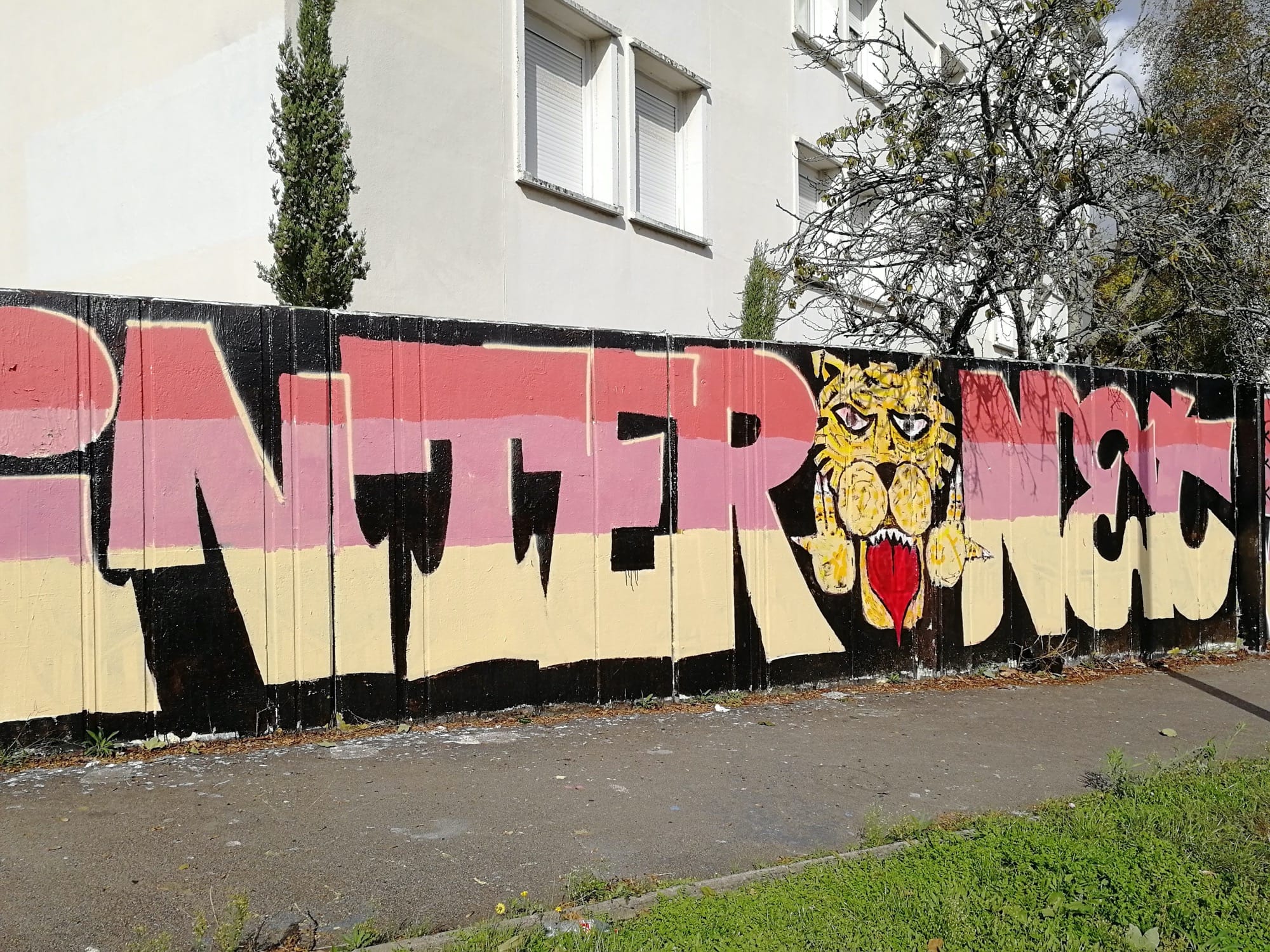 Graffiti 4485 Internet captured by Rabot in Nantes France
