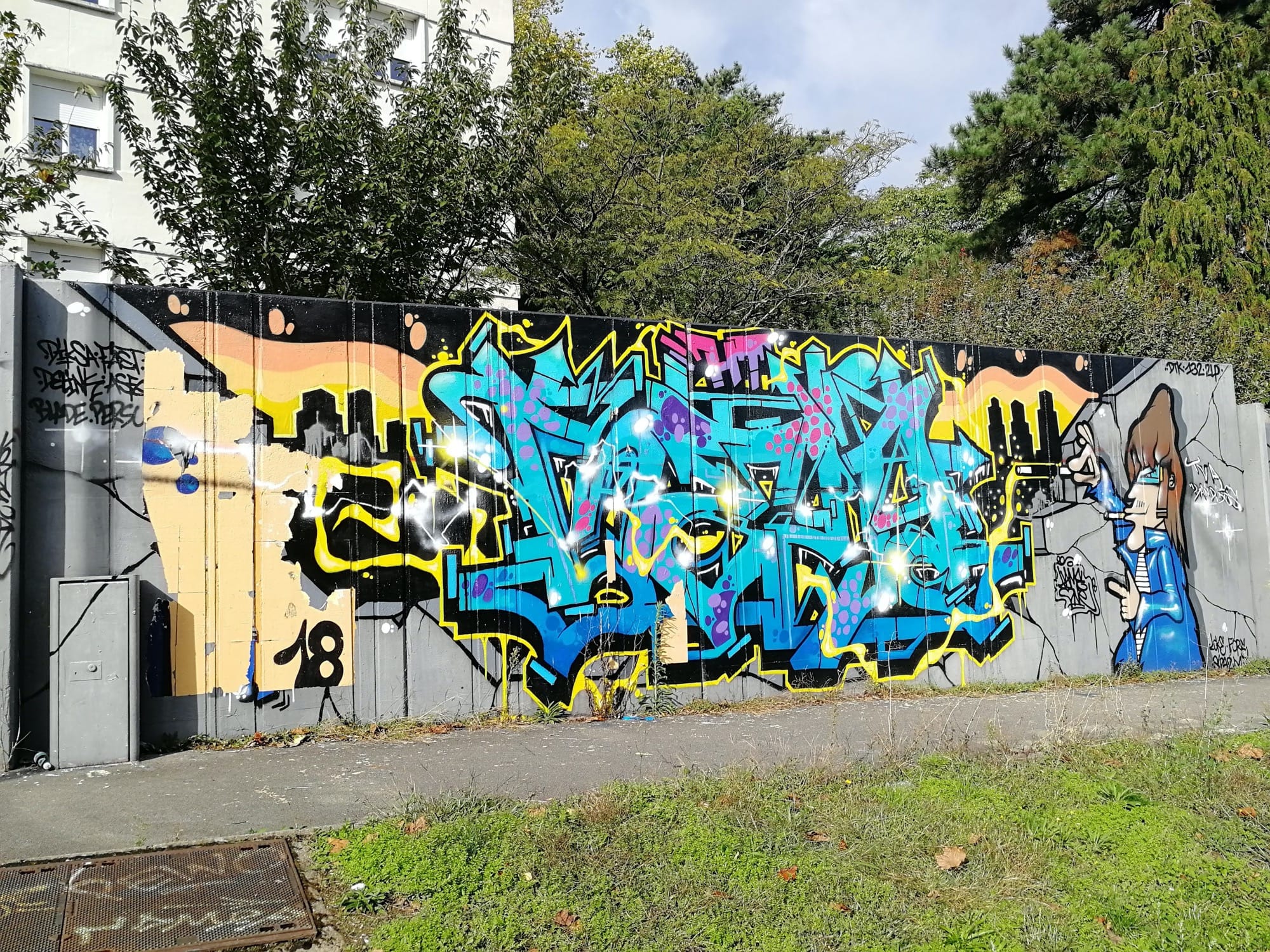 Graffiti 4489  captured by Rabot in Nantes France