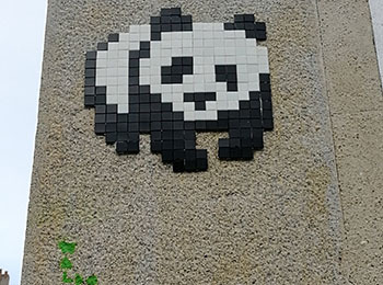 Mosaic 4506 panda by the artist Waldo captured by Rabot in Angers France