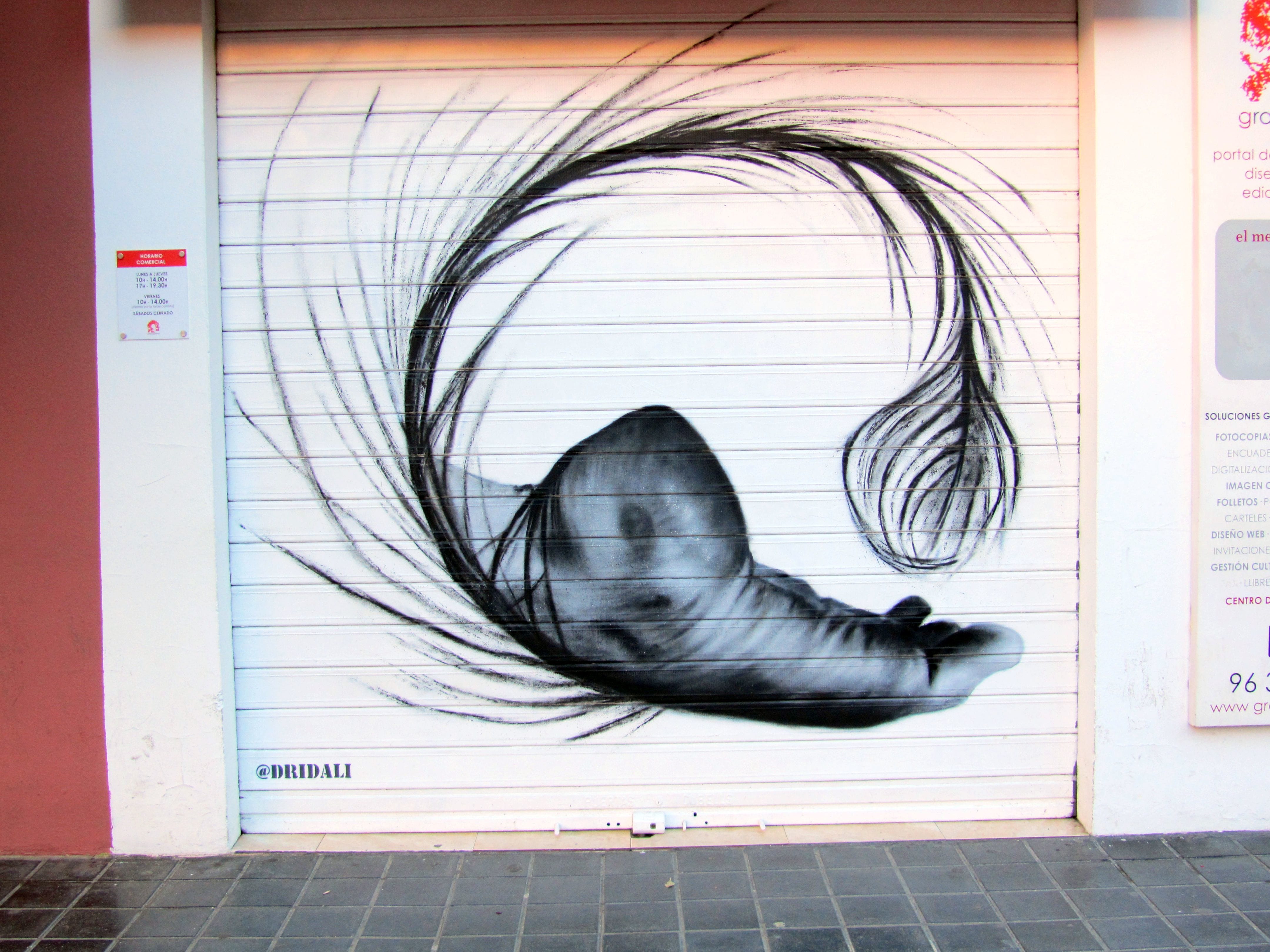 Graffiti 4558  by the artist Dridali captured by elettrotajik in València Spain