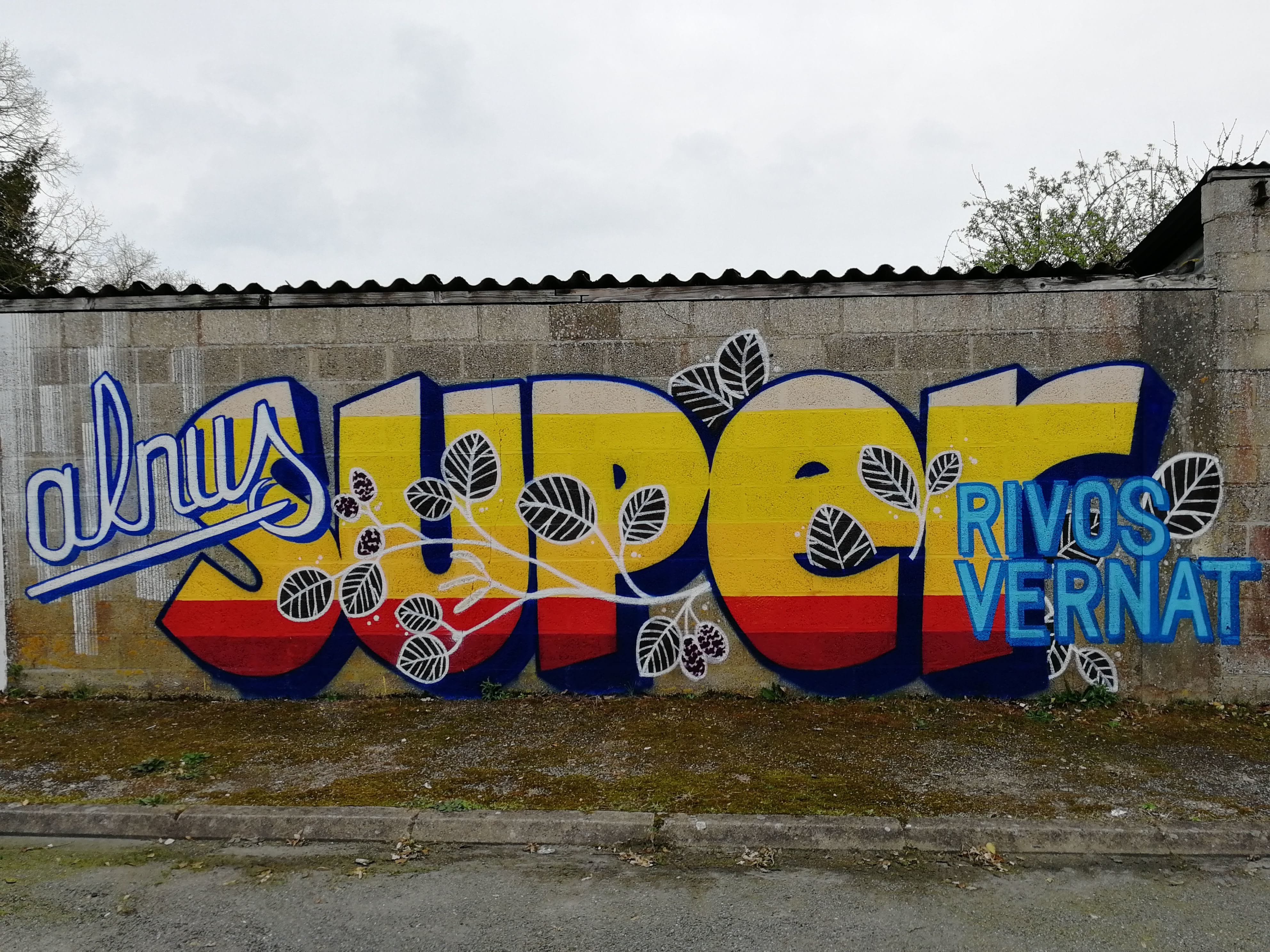 Graffiti 4629  capturé par Rabot à Petit-Auverné France